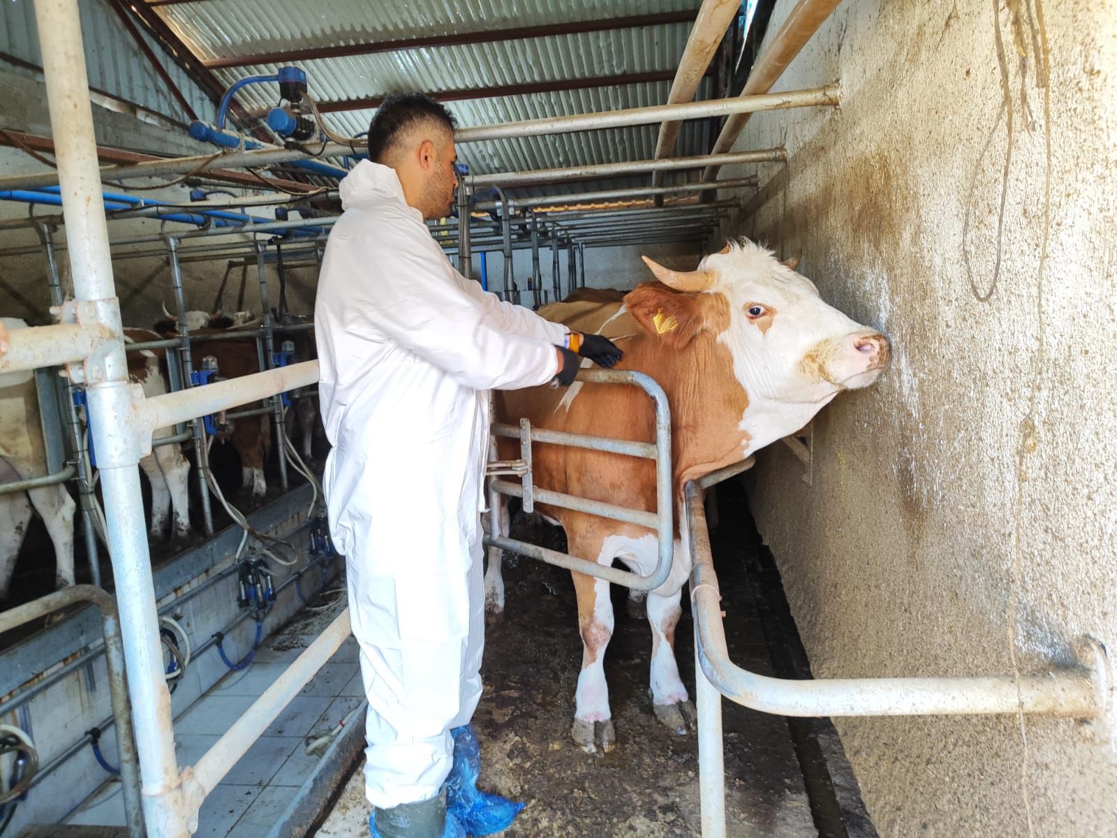 539995771 1091006286483780 5540951953605113085 N