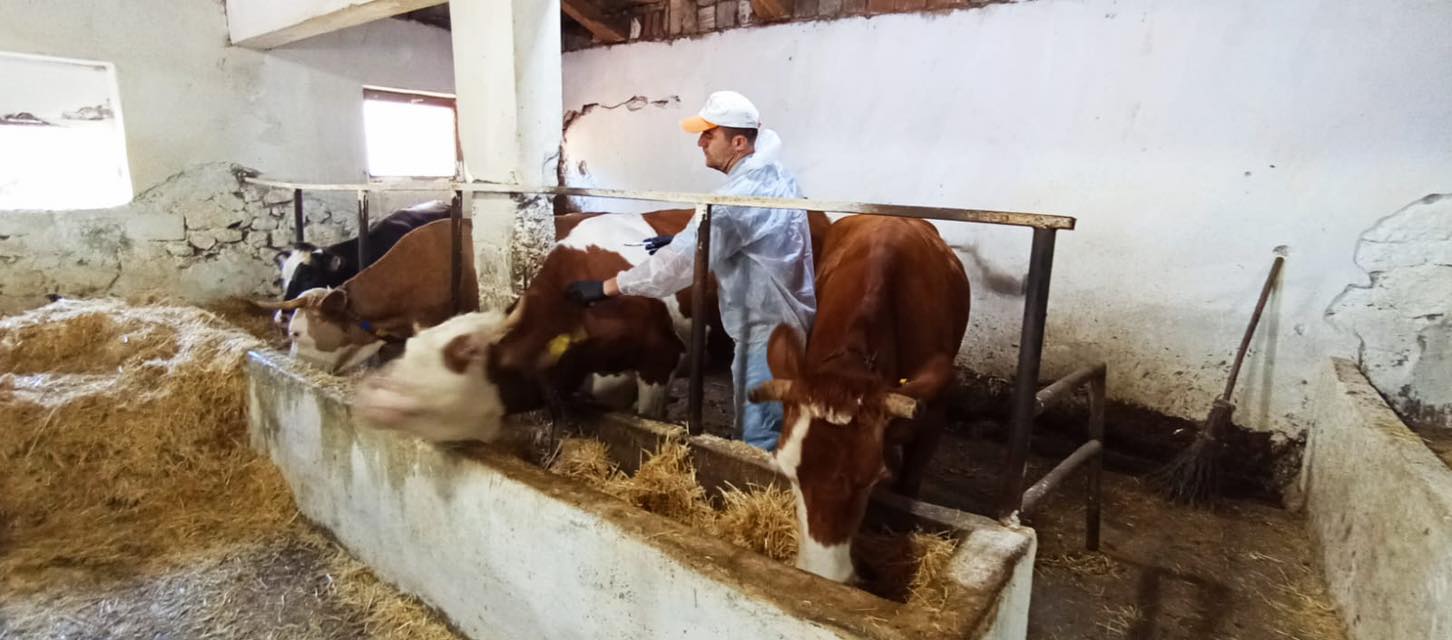 540507188 1091005869817155 9117313845778971287 N