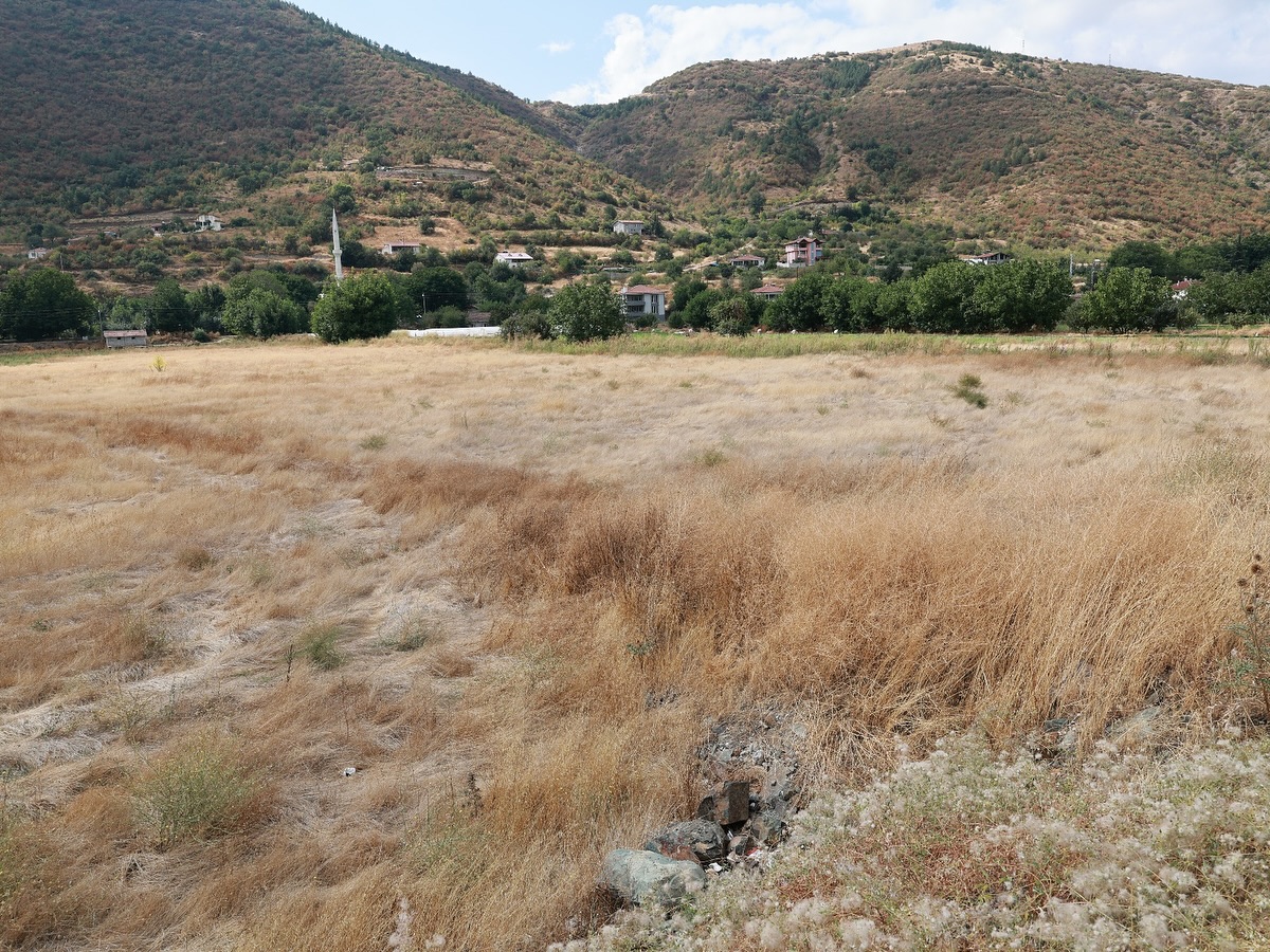 542995379 17923698492133684 5651882120690042578 N