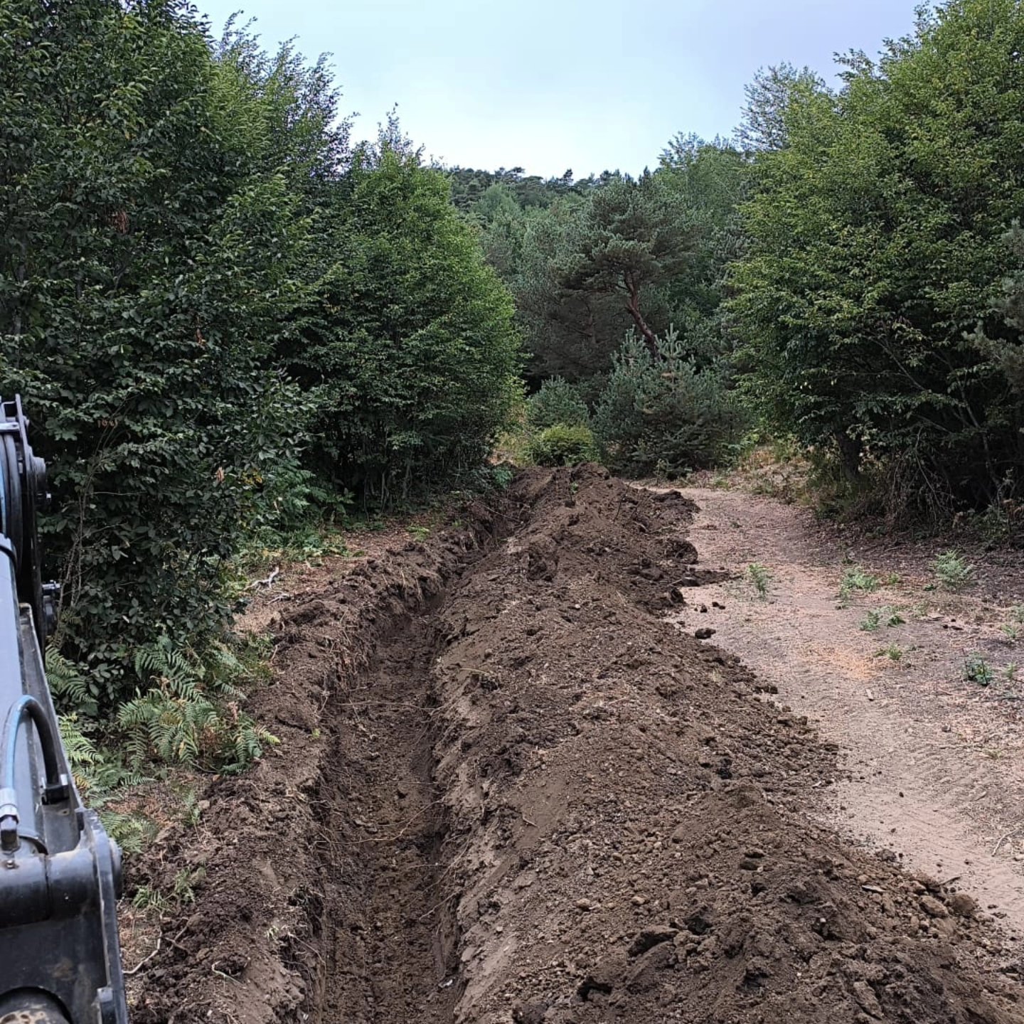 545805313 10163218878887692 3144805176909278140 N