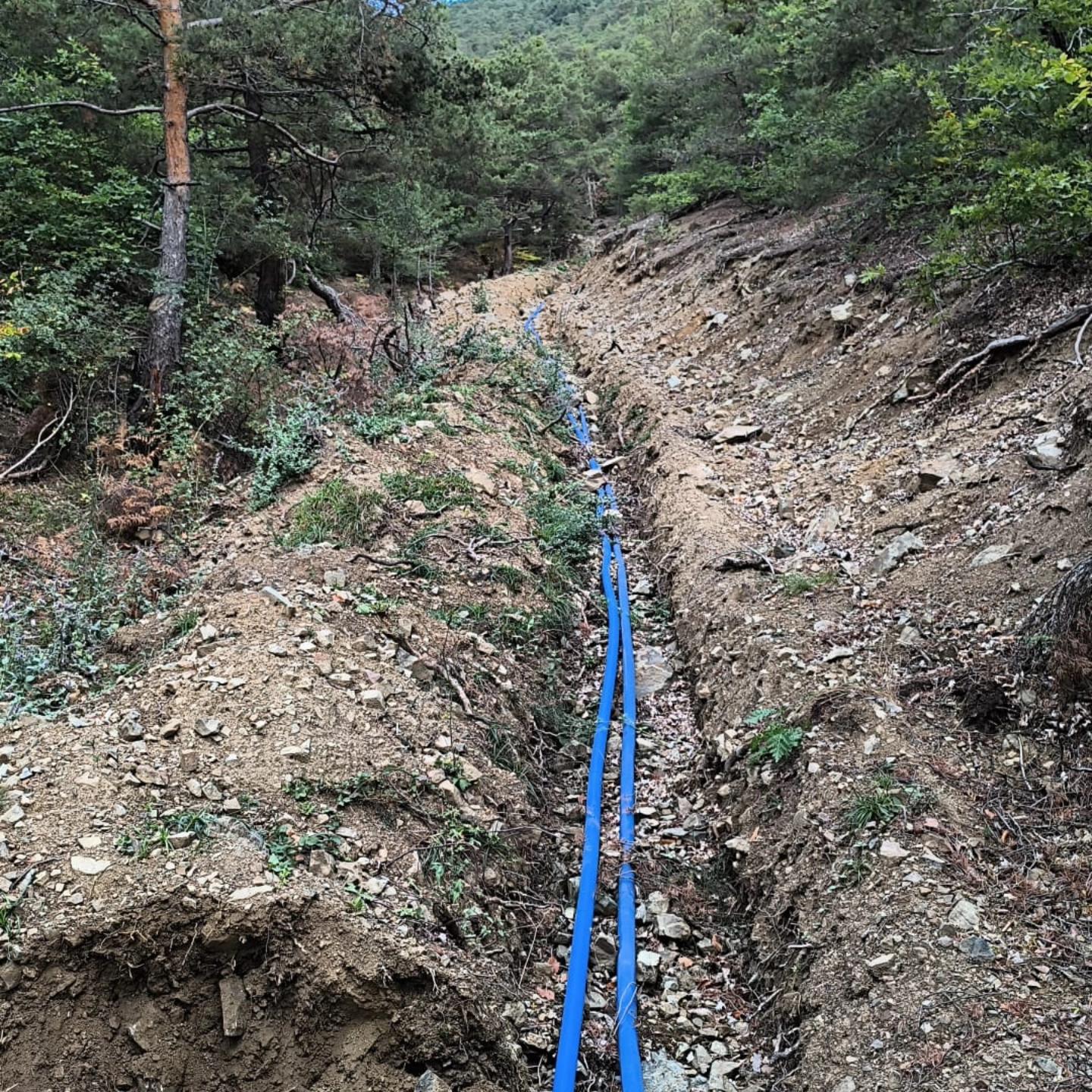 546409564 10163218878857692 9144210879128688848 N