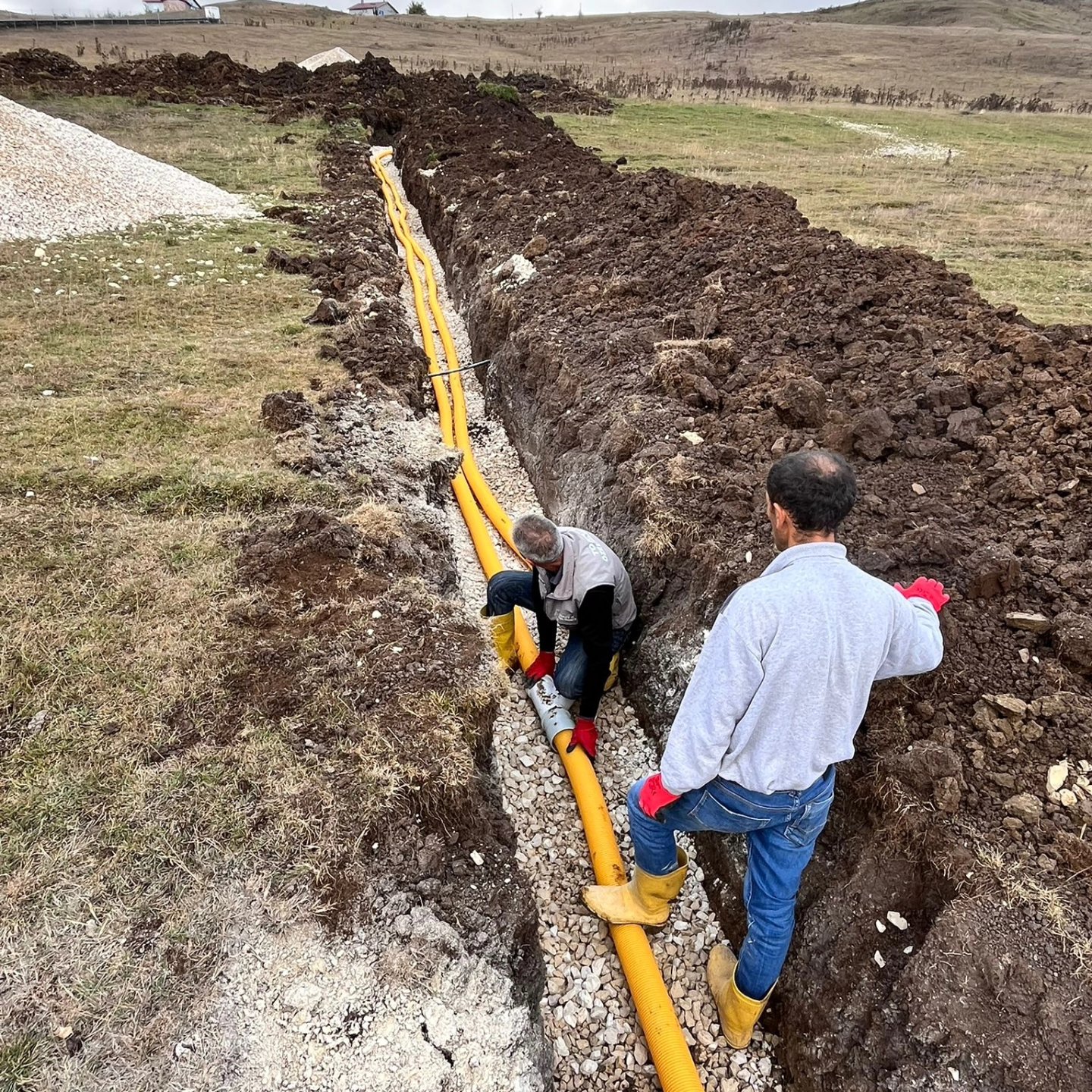 546479115 10163218878877692 4500749613981946725 N