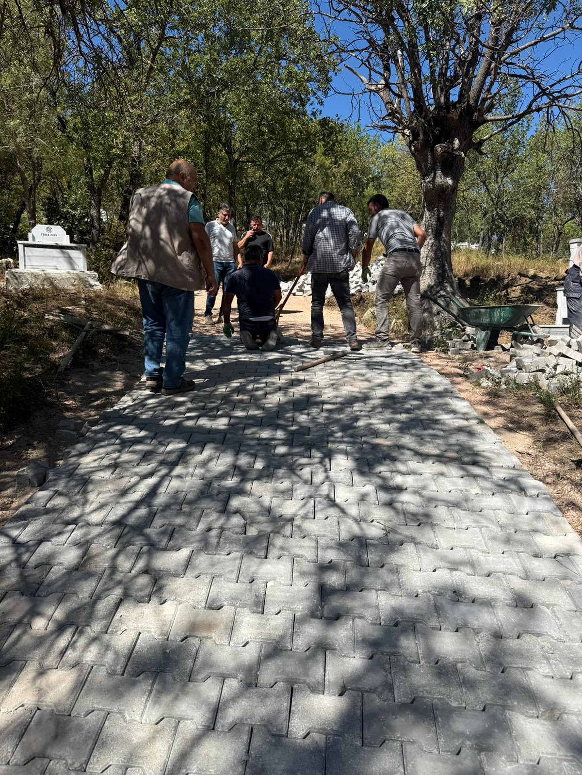 548635136 18321484081208649 7620619198853549108 N