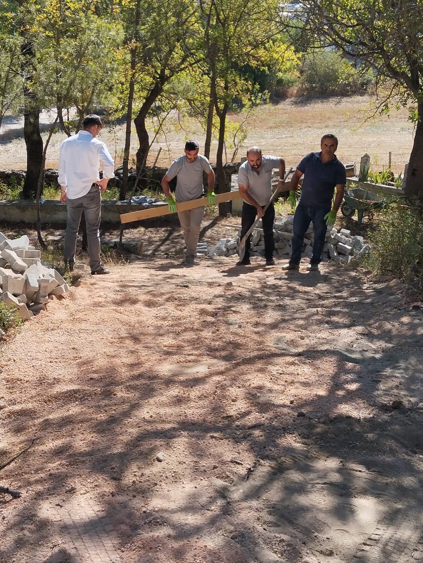 548765691 18321484111208649 7234326062183242435 N