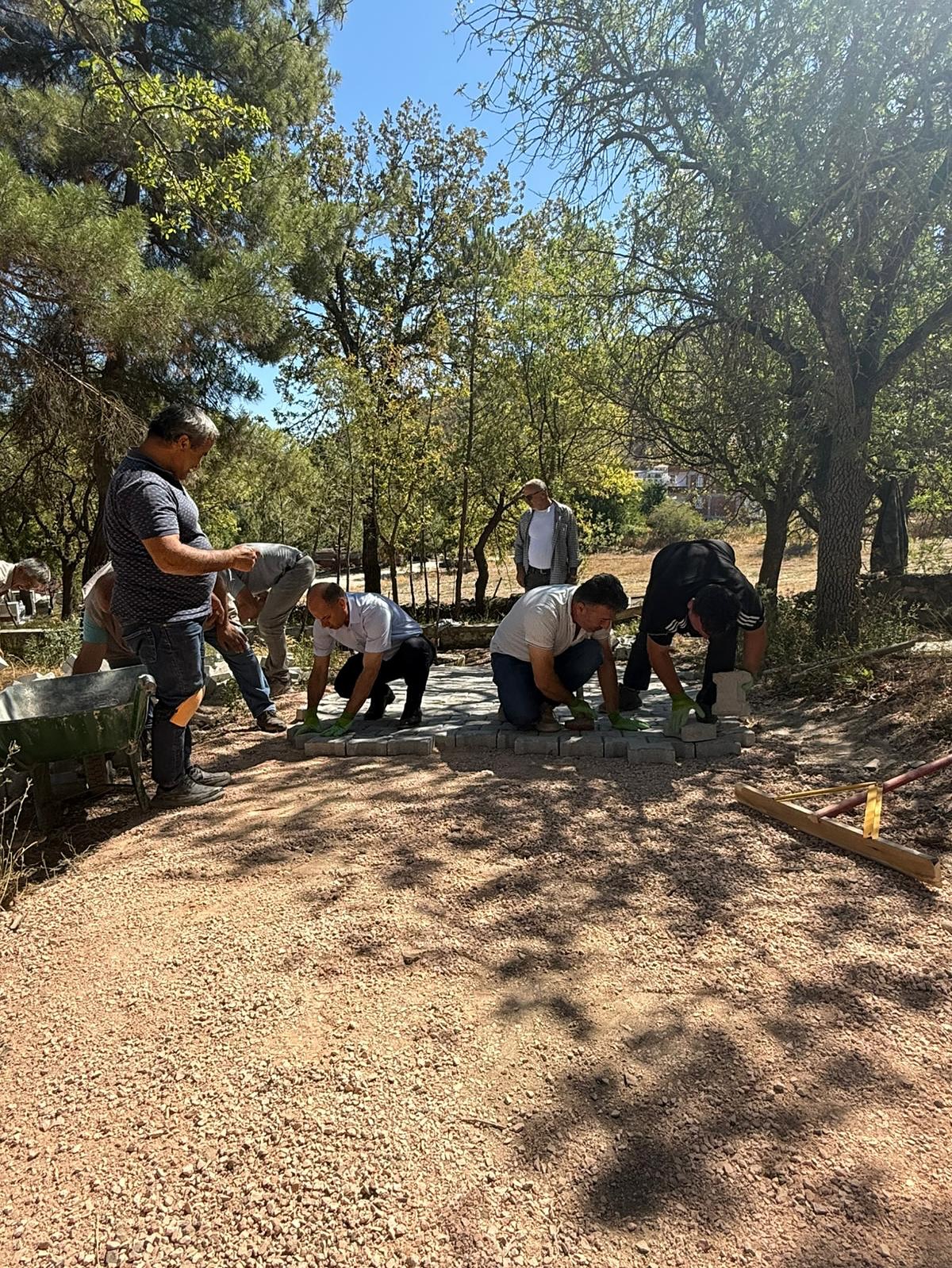 549038209 18321484129208649 1205521516502127771 N