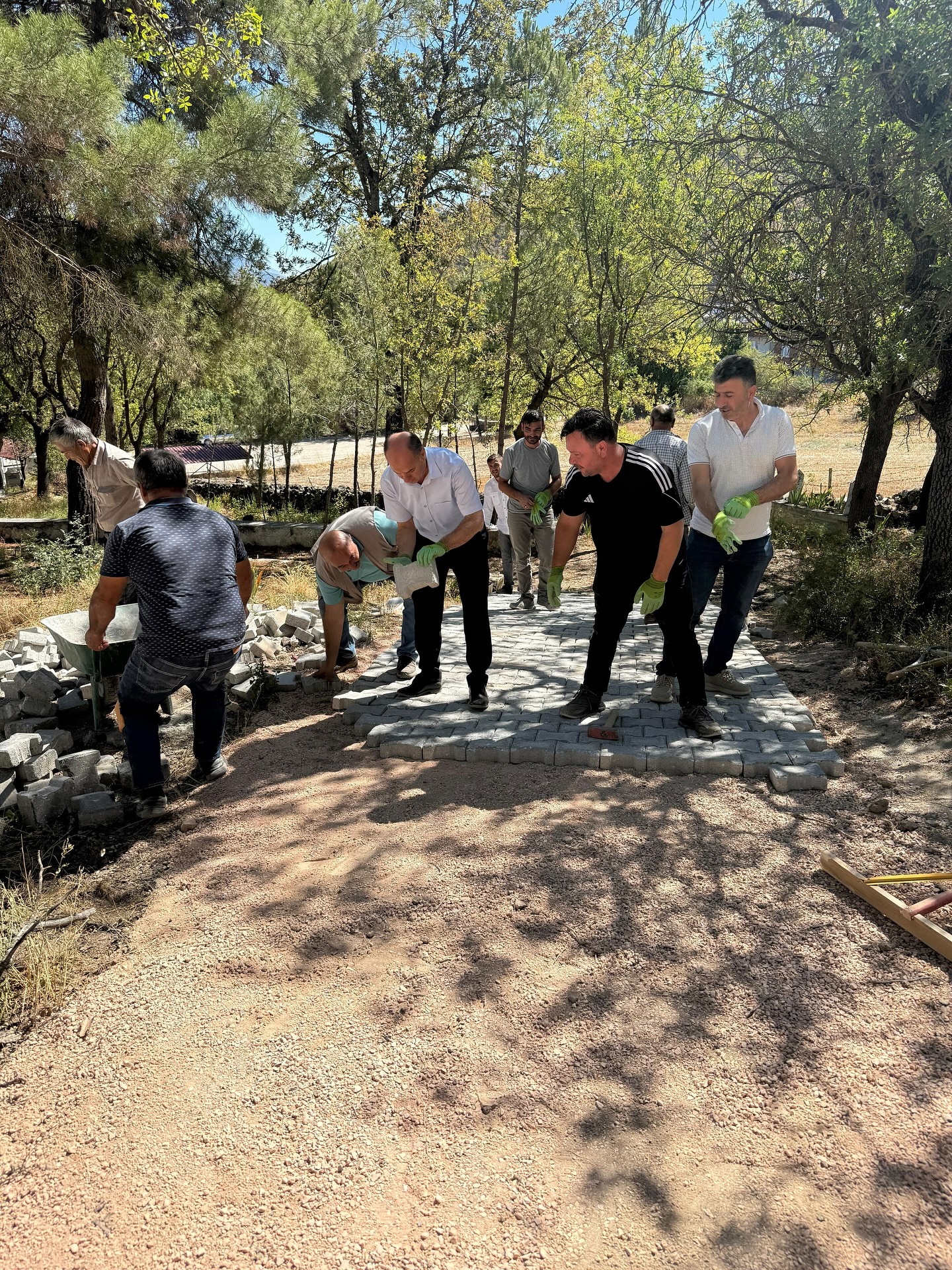 549290467 18321484060208649 1577977436764424298 N