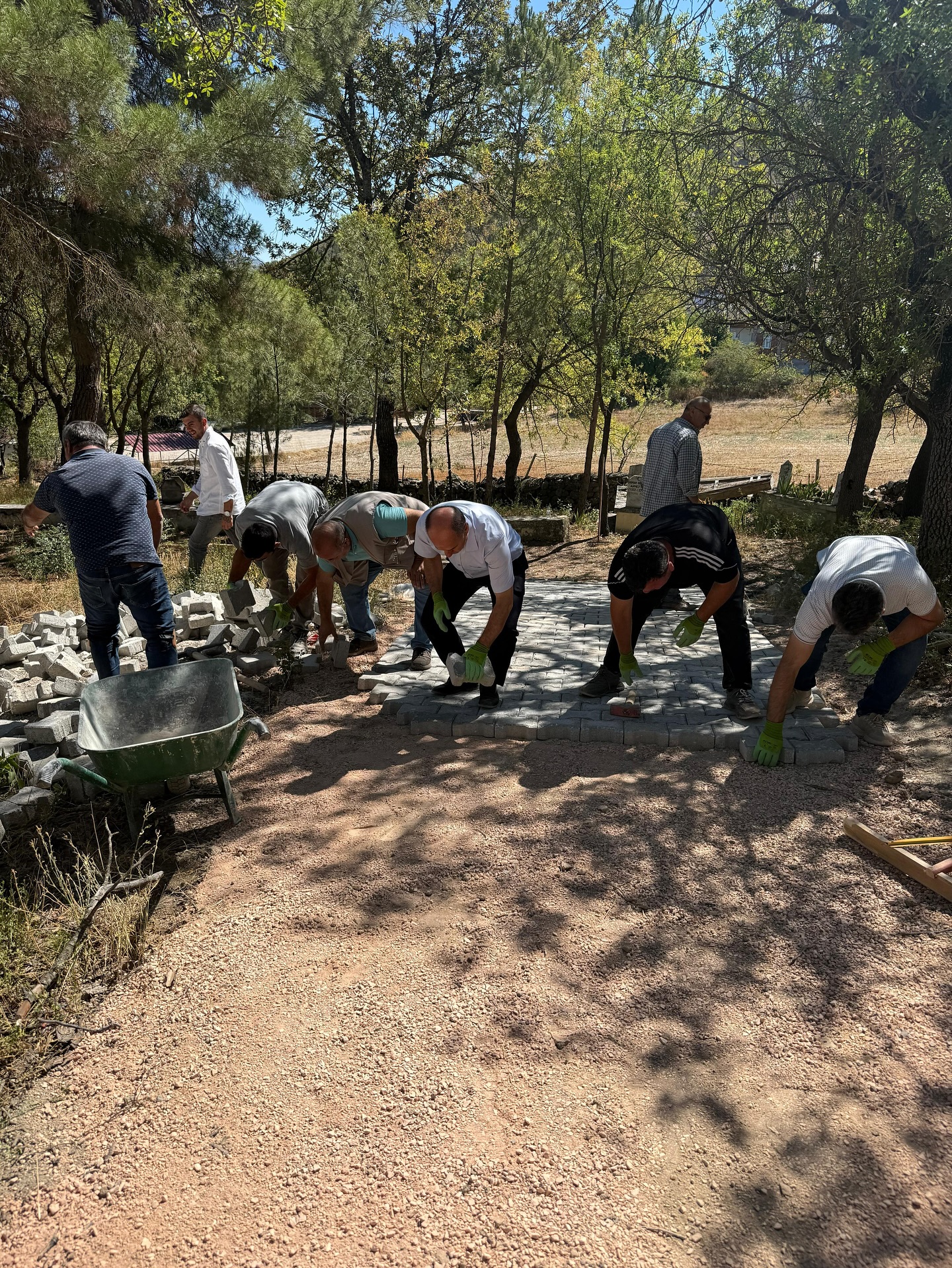 549595532 18321484120208649 1459041414863570112 N