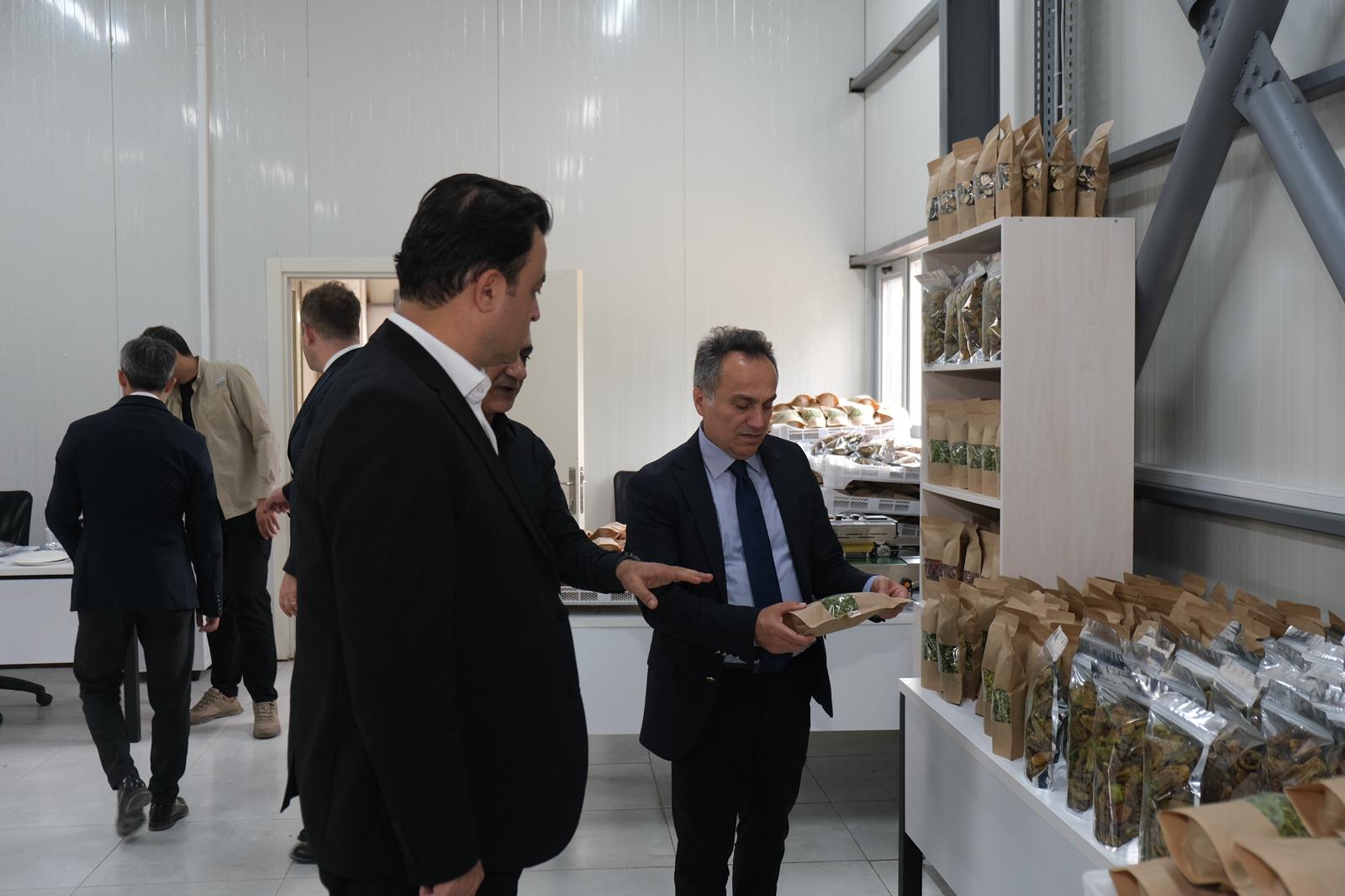 I M G 20250904 W A0040