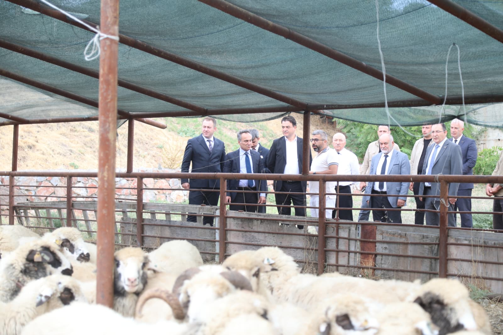 I M G 20250904 W A0049