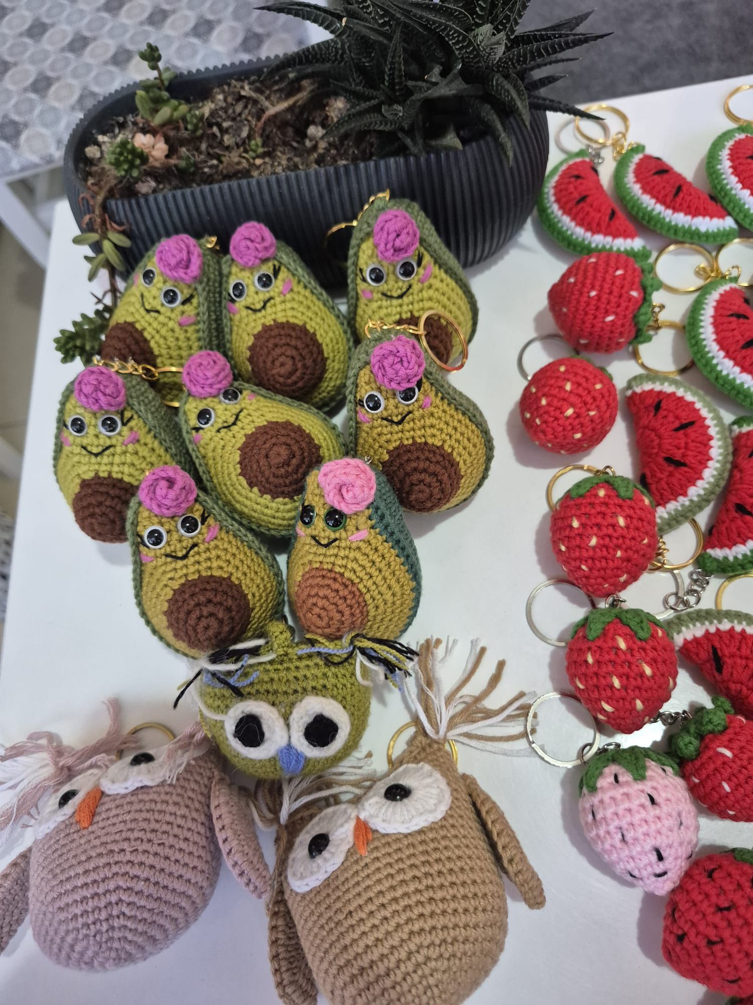 I M G 20250909 W A0004-1