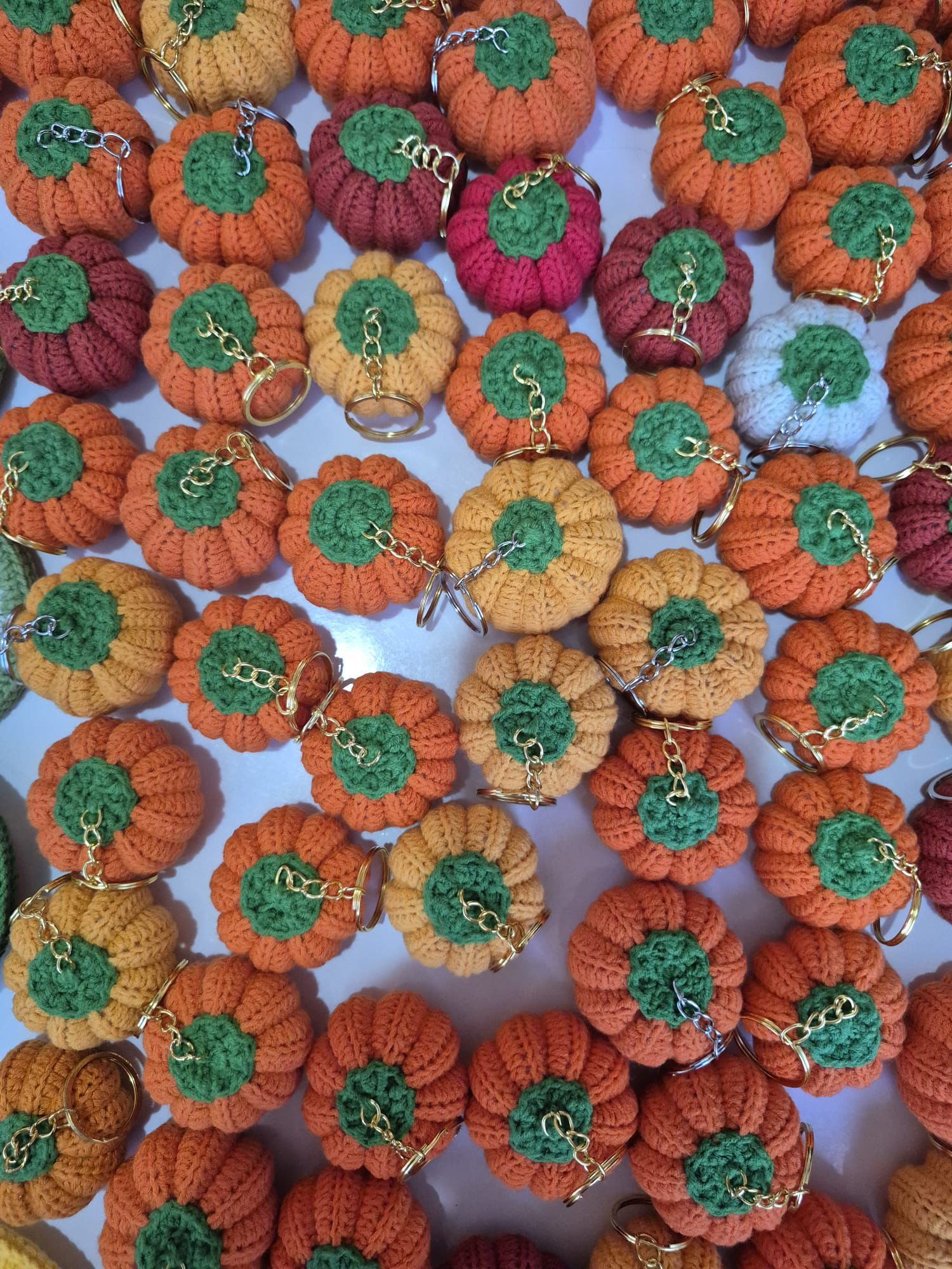 I M G 20250909 W A0006-1