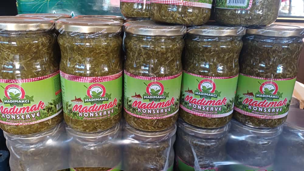 I M G 20250922 W A0004