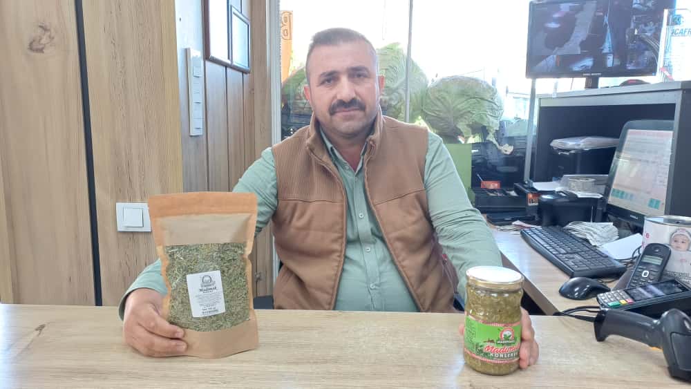 I M G 20250922 W A0009