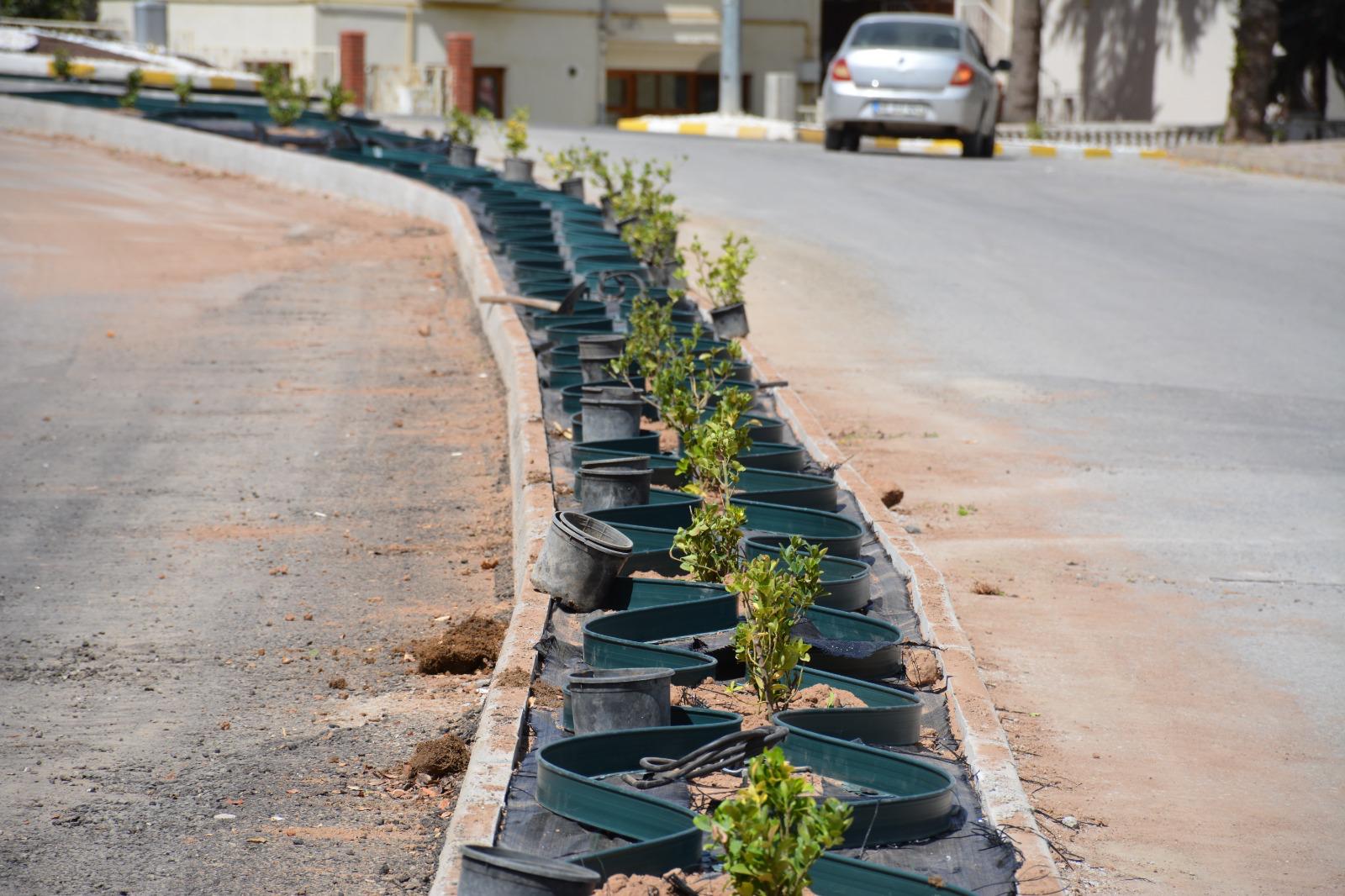 I M G 20250923 W A0001