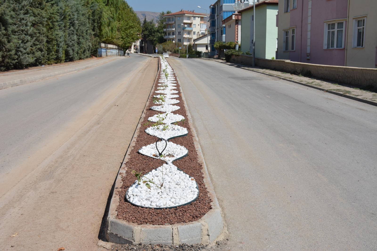 I M G 20250923 W A0009