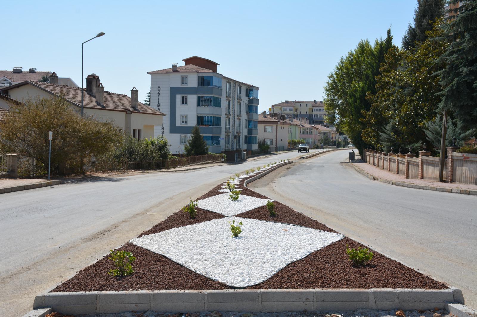 I M G 20250923 W A0016