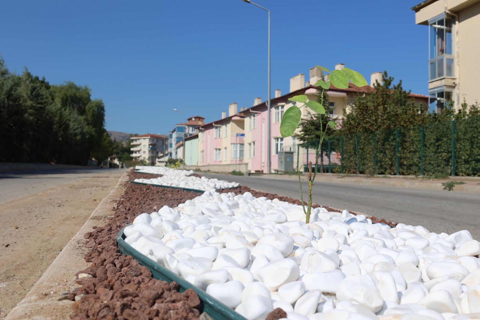 I M G 20250923 W A0018