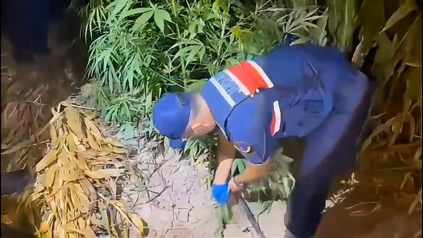 Vlcsnap 2025 09 04 13H14M01S260