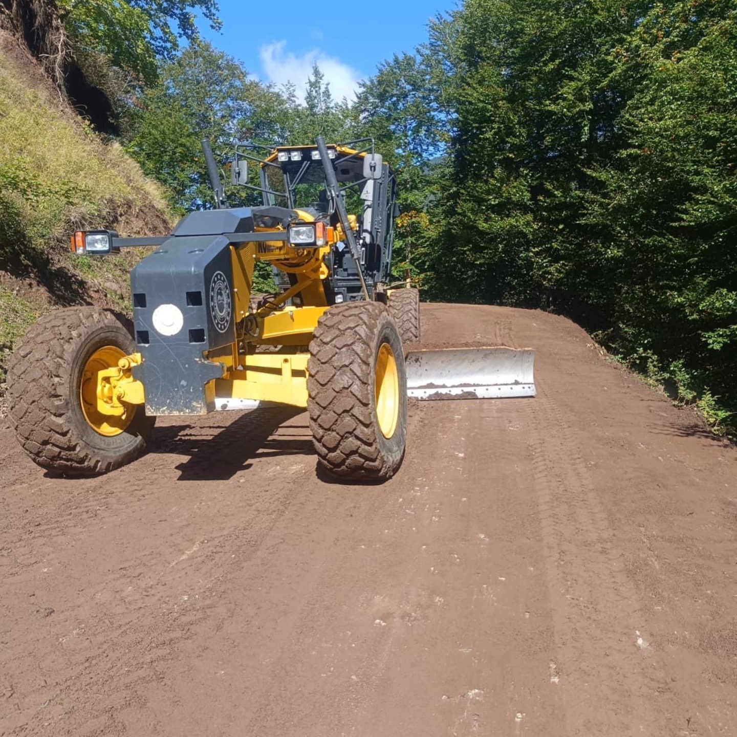 557895176 10163337572967692 1660693099970297616 N