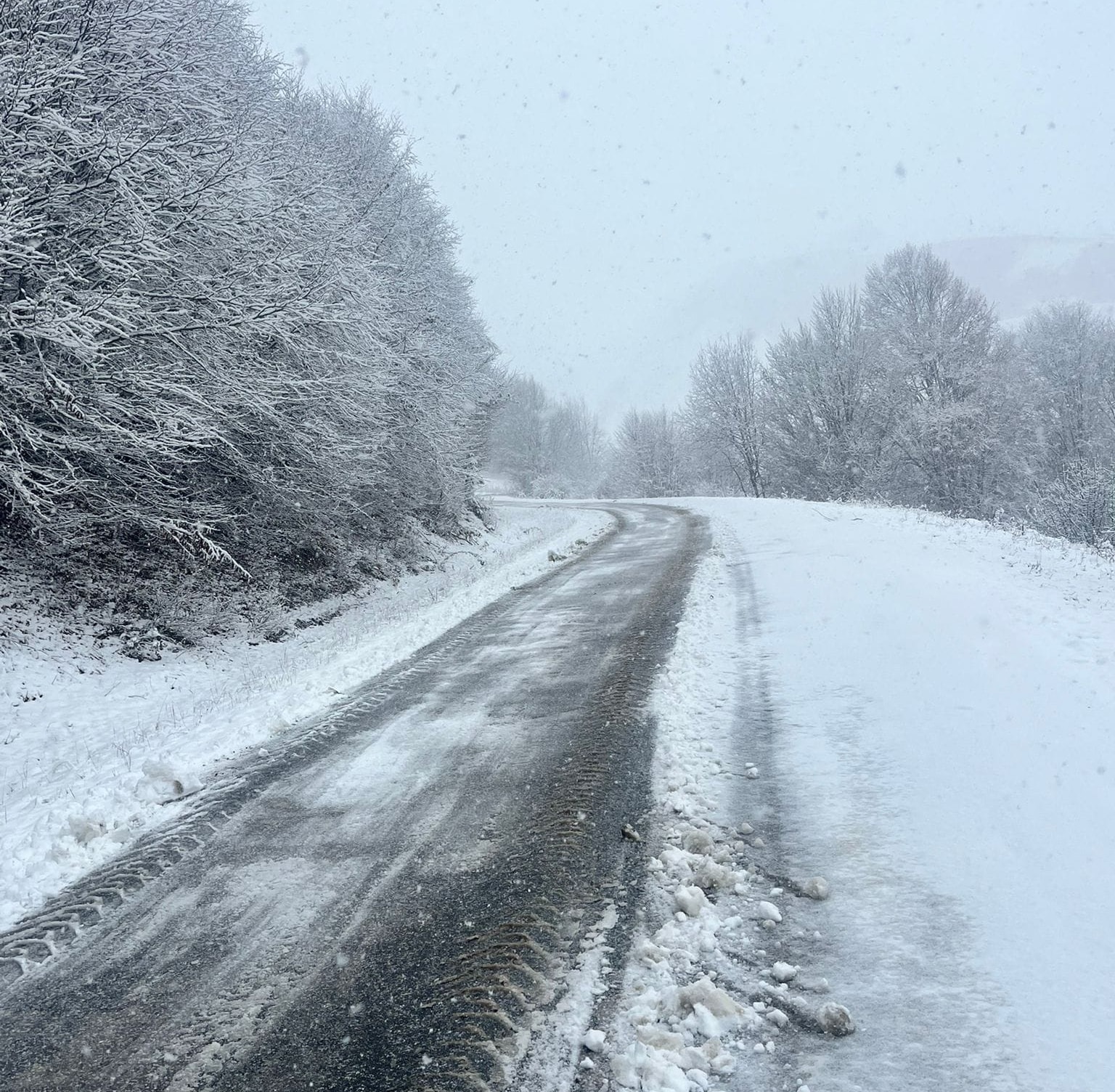 581403914 10163532288167692 6928155363809502702 N