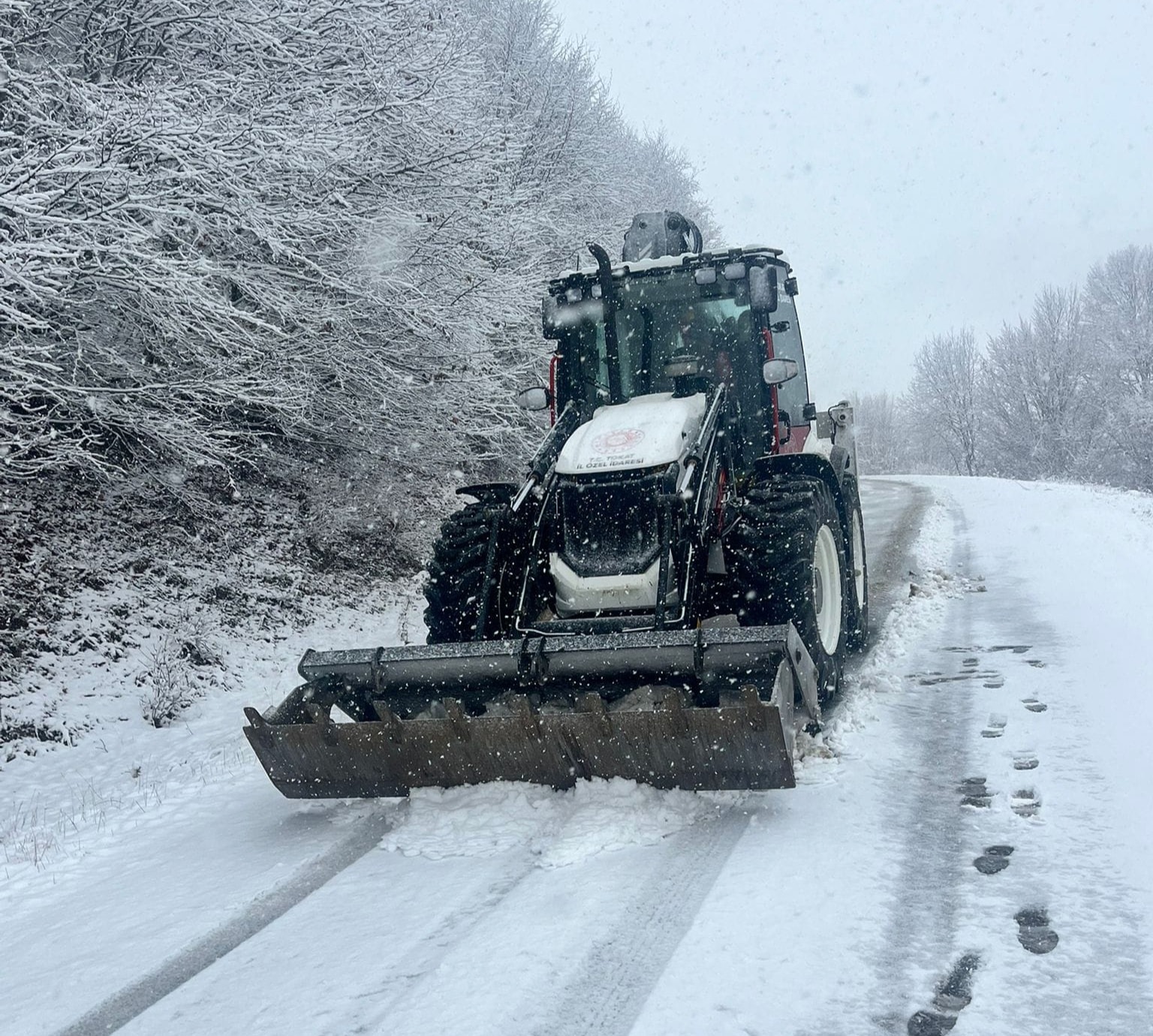 583058273 10163532288002692 6455570747266281252 N