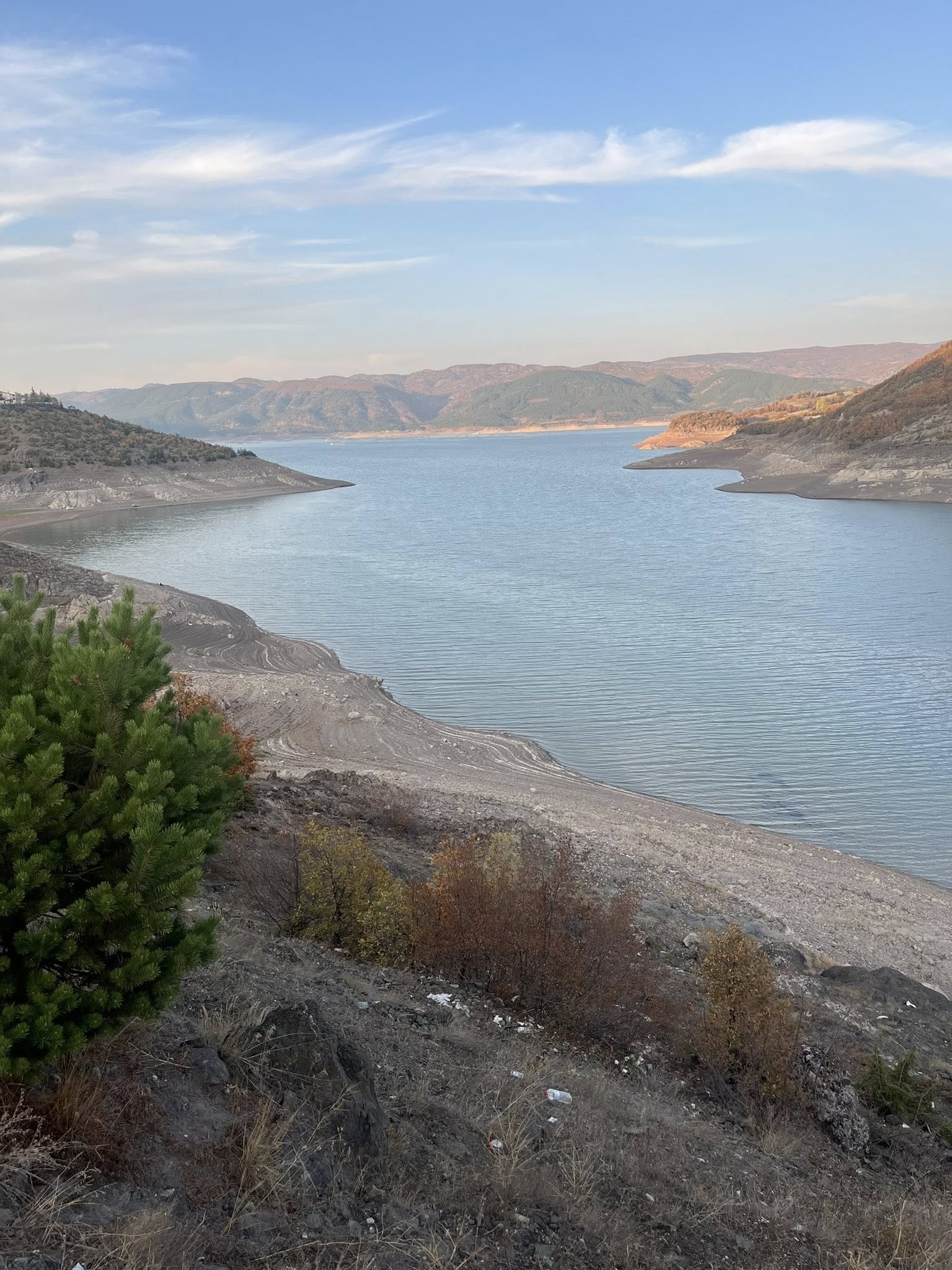 585359504 2464045854010754 3035430386269877834 N