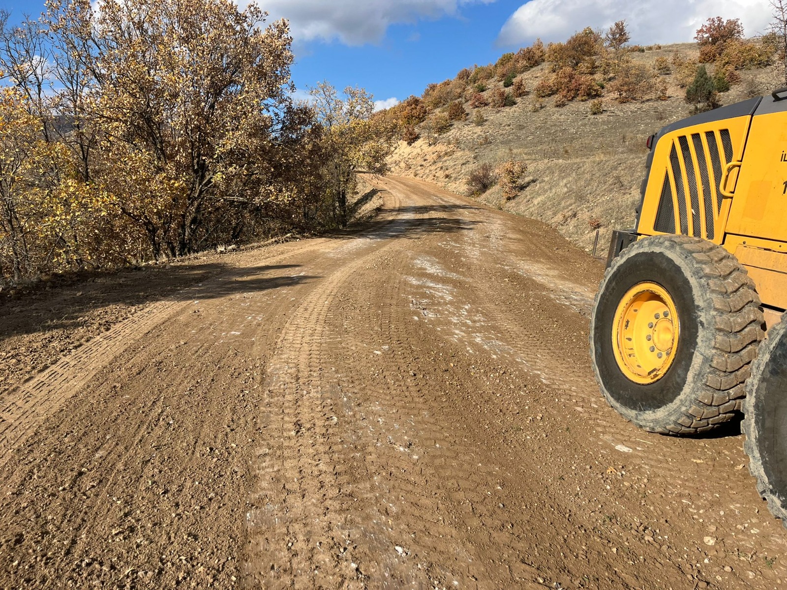 586470276 813300761674769 1704344781967885806 N