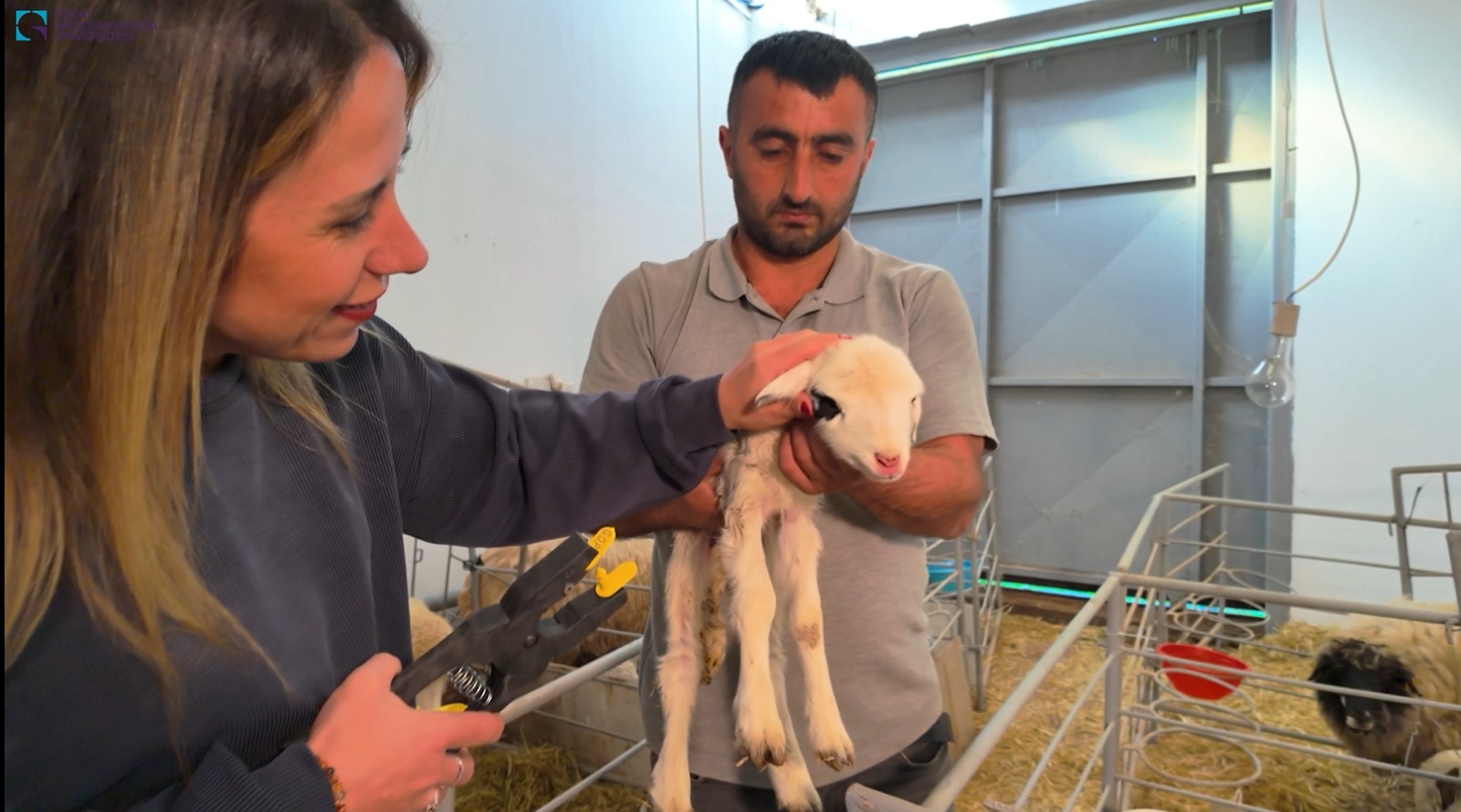 I M G 20251106 W A0012