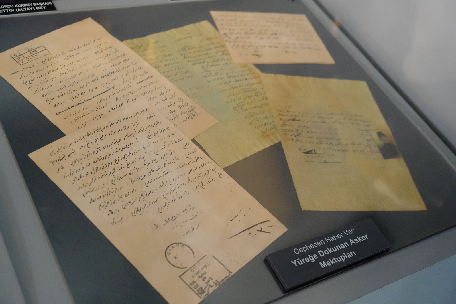 I M G 20251112 W A0017