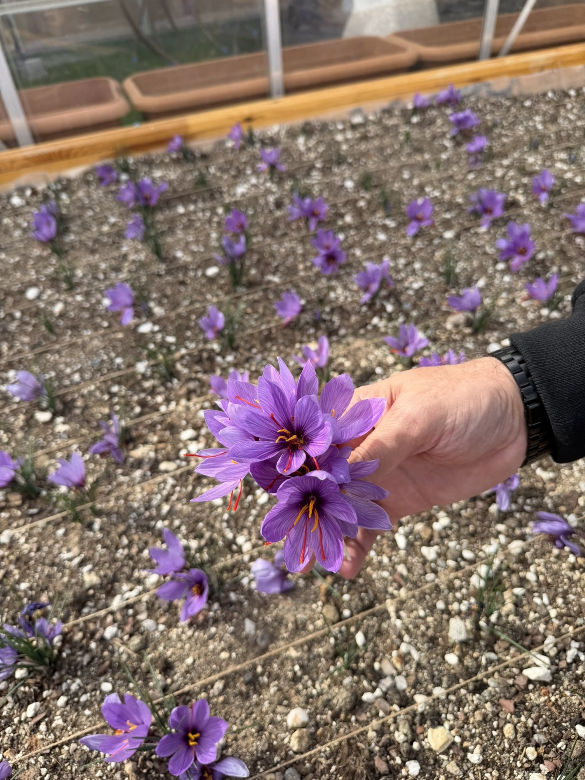 Whatsapp Görsel 2025 10 31 Saat 16.34.13 8A45Ca5B