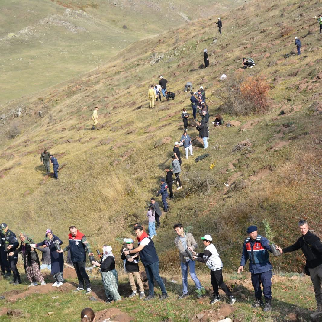 Whatsapp Image 2025 11 15 At 12.47.31