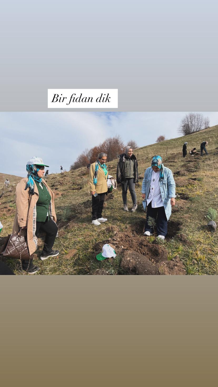 Whatsapp Image 2025 11 15 At 12.47.33 (2)