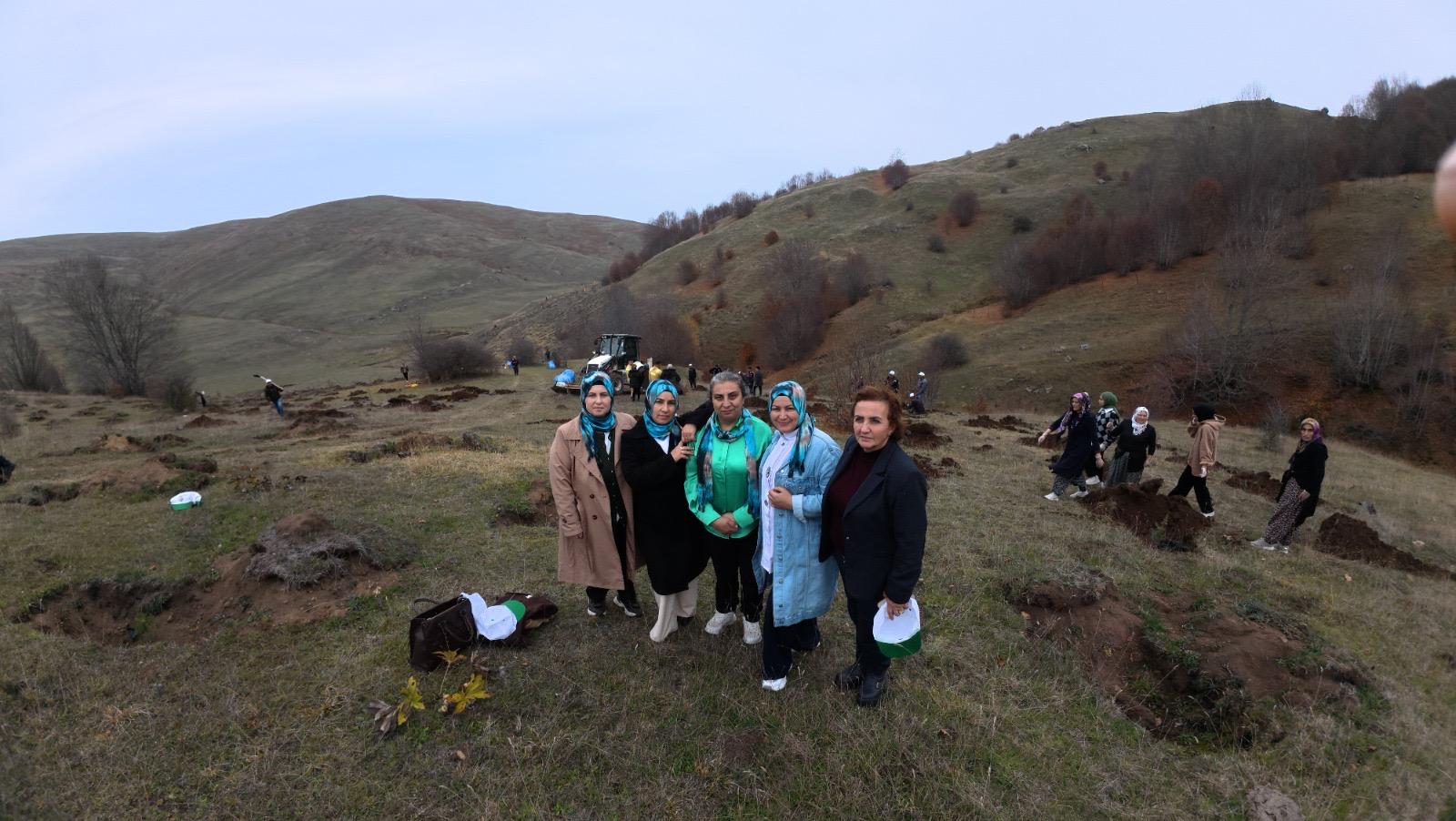 Whatsapp Image 2025 11 15 At 12.47.34