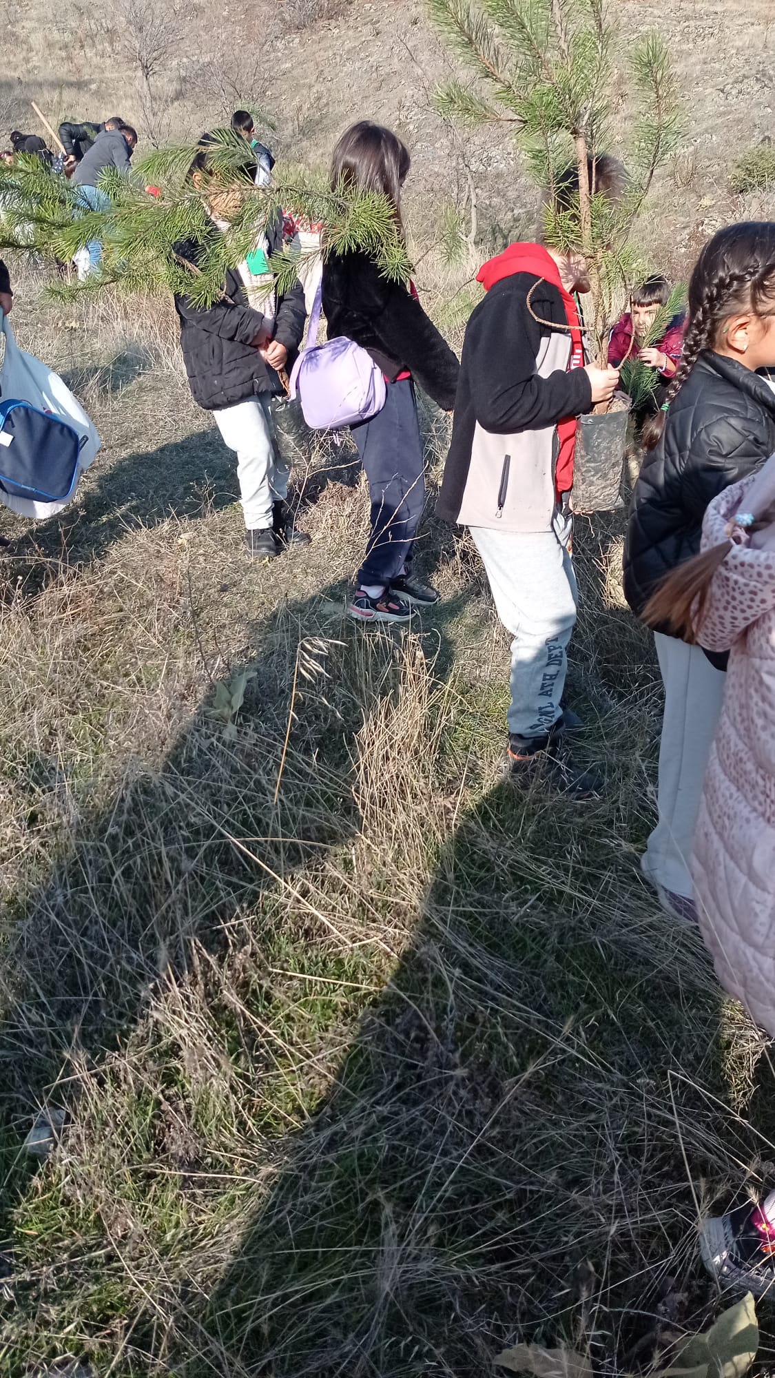 Whatsapp Image 2025 11 26 At 20.46.32 (3)