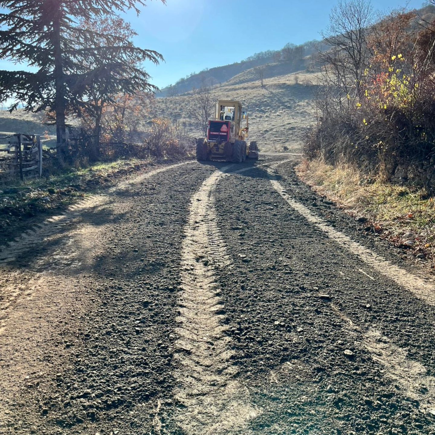 597762138 10163645444002692 7173516985517114526 N