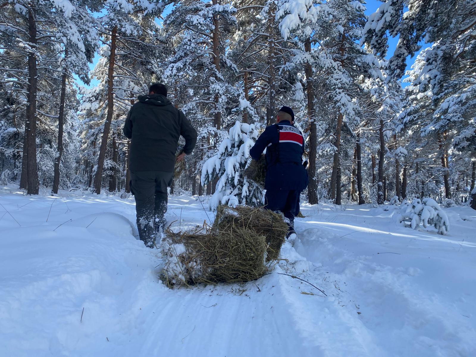 607062364 18031738583756365 5111105294858109023 N