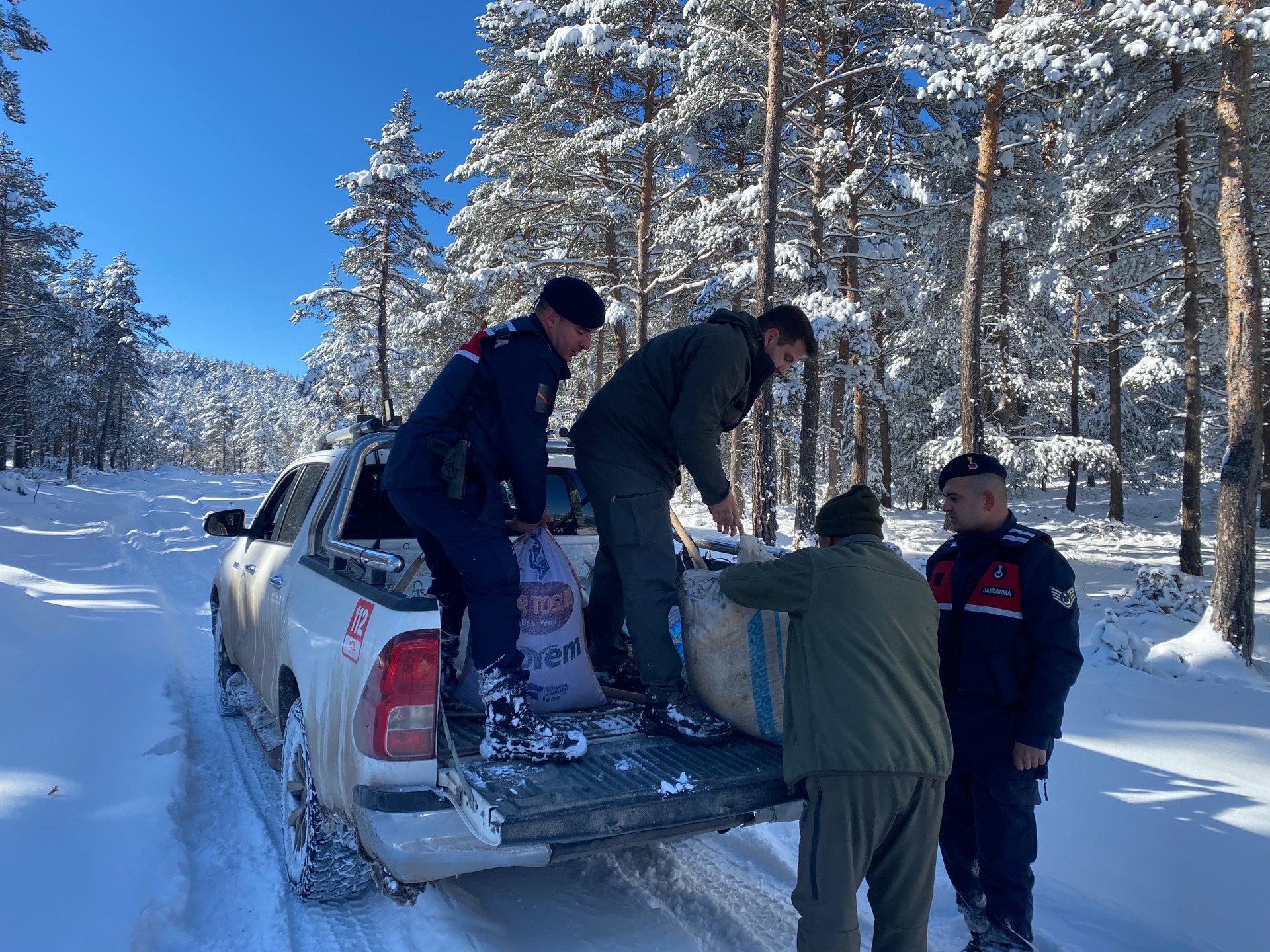 609034381 18031738604756365 9200675672951776168 N