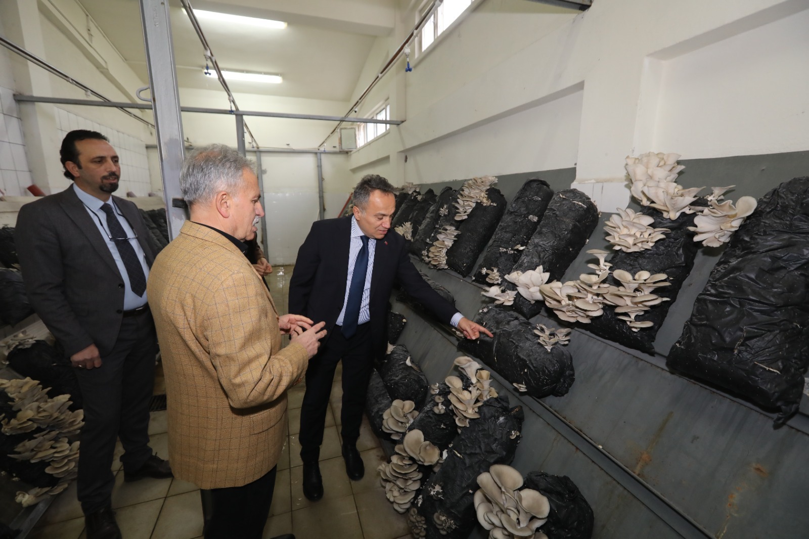 Whatsapp Image 2025 12 15 At 10.59.23 (2)