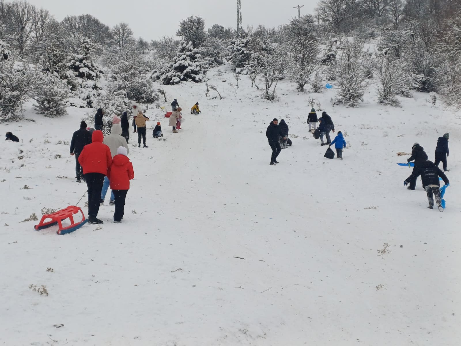 Whatsapp Image 2025 12 29 At 09.12.03