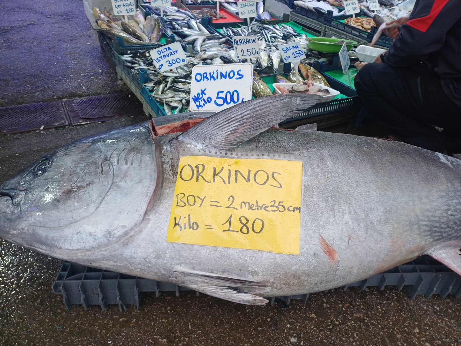 Whatsapp Image 2025 12 31 At 12.35.53