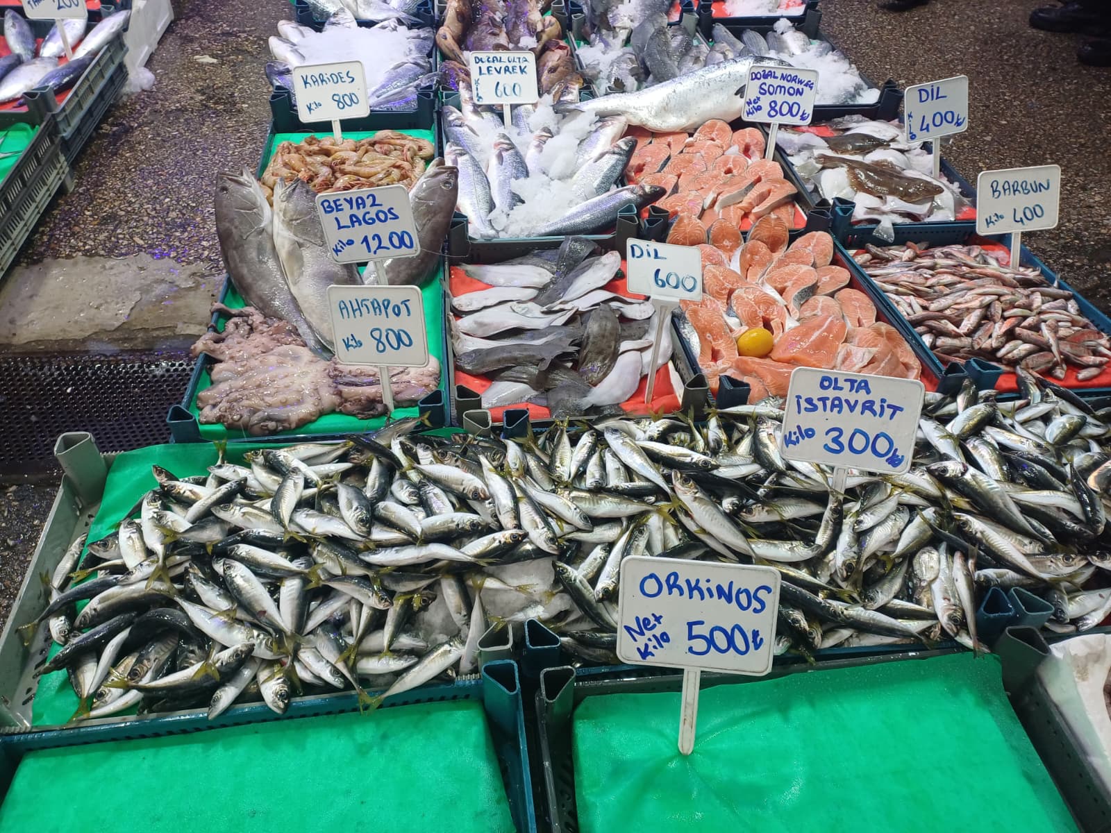 Whatsapp Image 2025 12 31 At 12.35.54 (1)