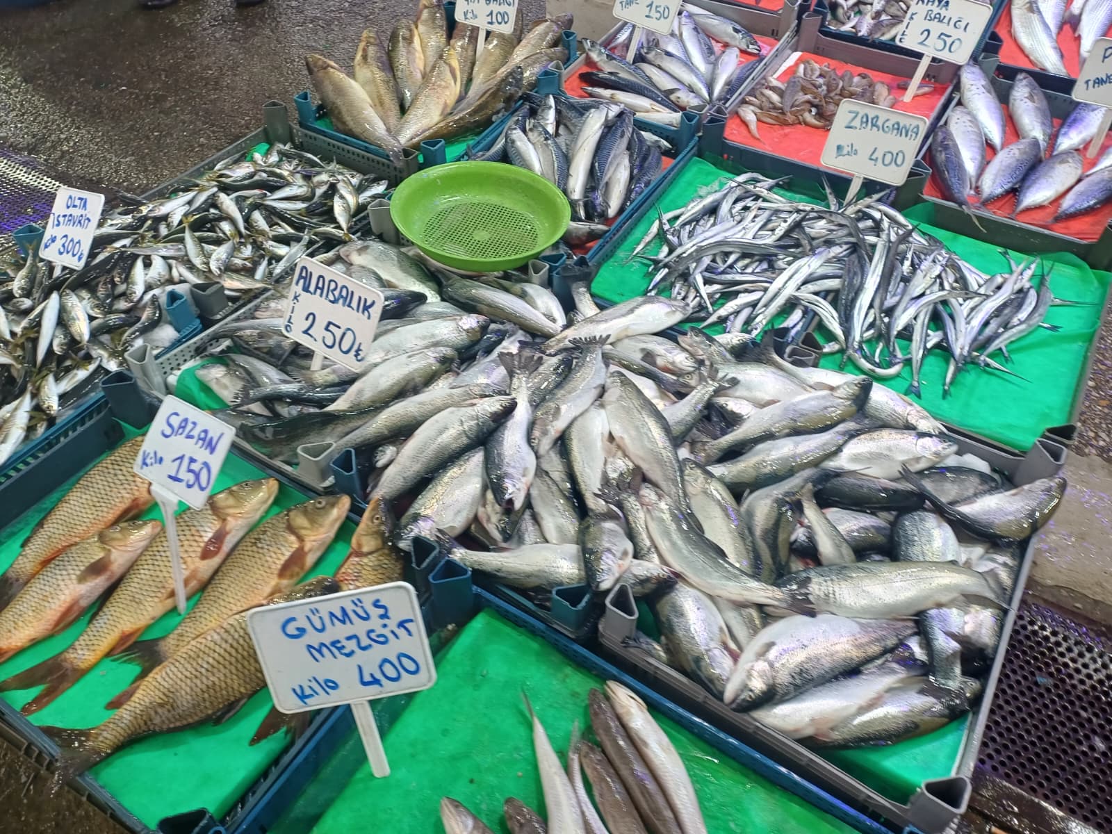 Whatsapp Image 2025 12 31 At 12.35.55