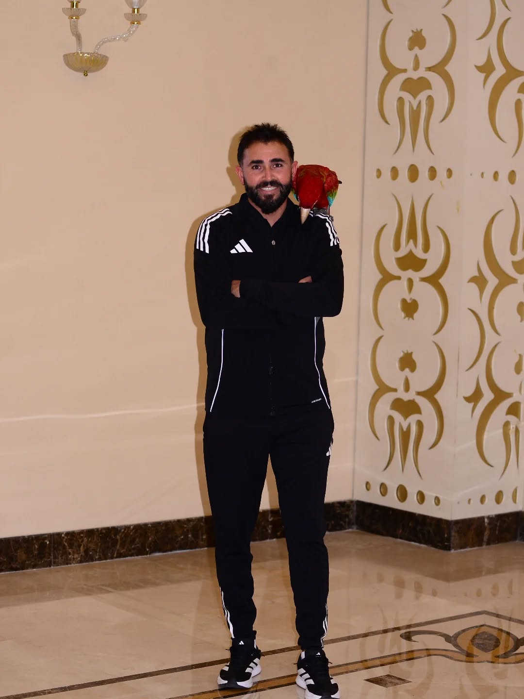 590646389 18551771476036676 613829469997408200 N