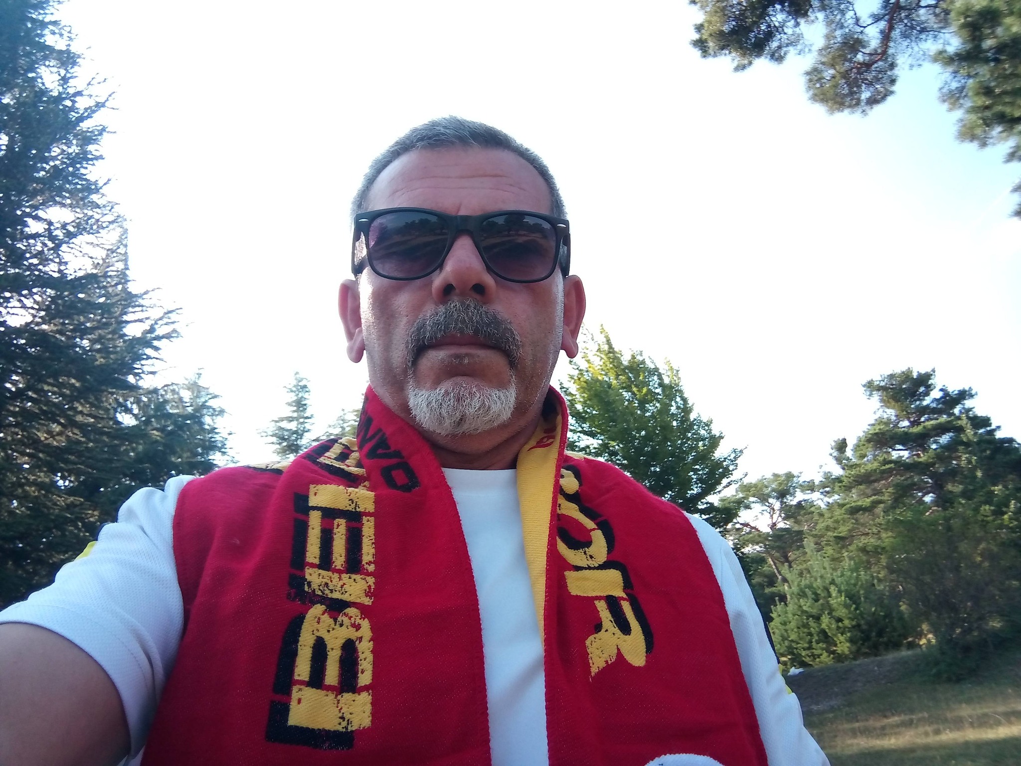 608923165 33159200227057077 3569254261886096483 N