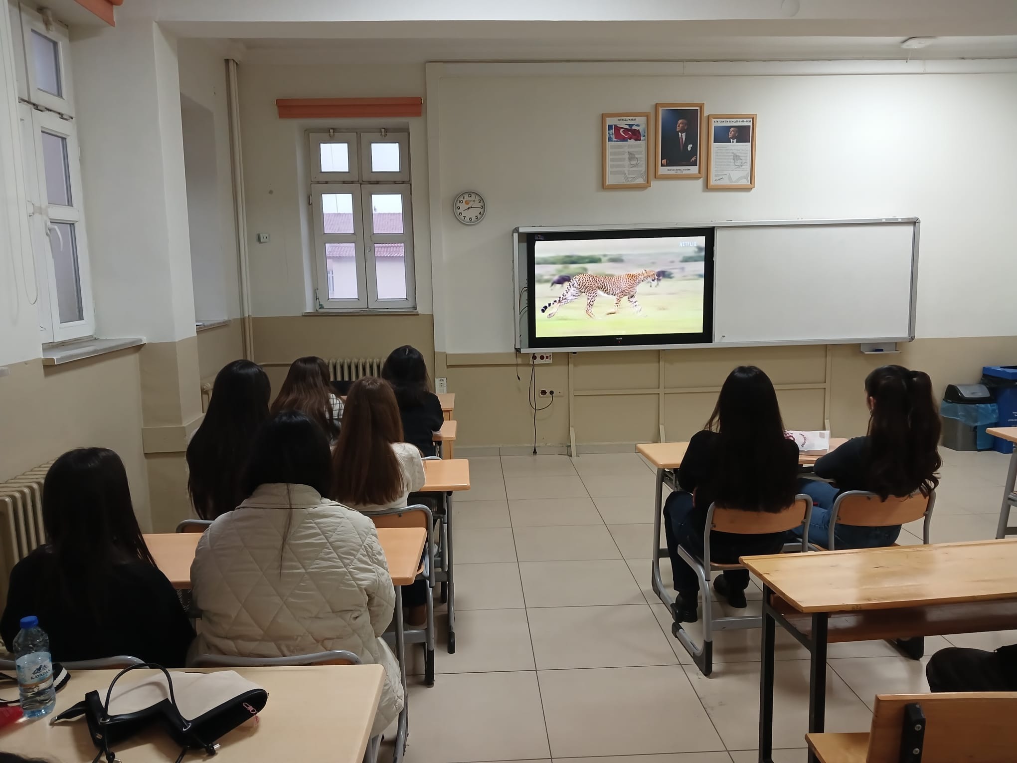 615824745 1397510248824946 8980203728403834894 N