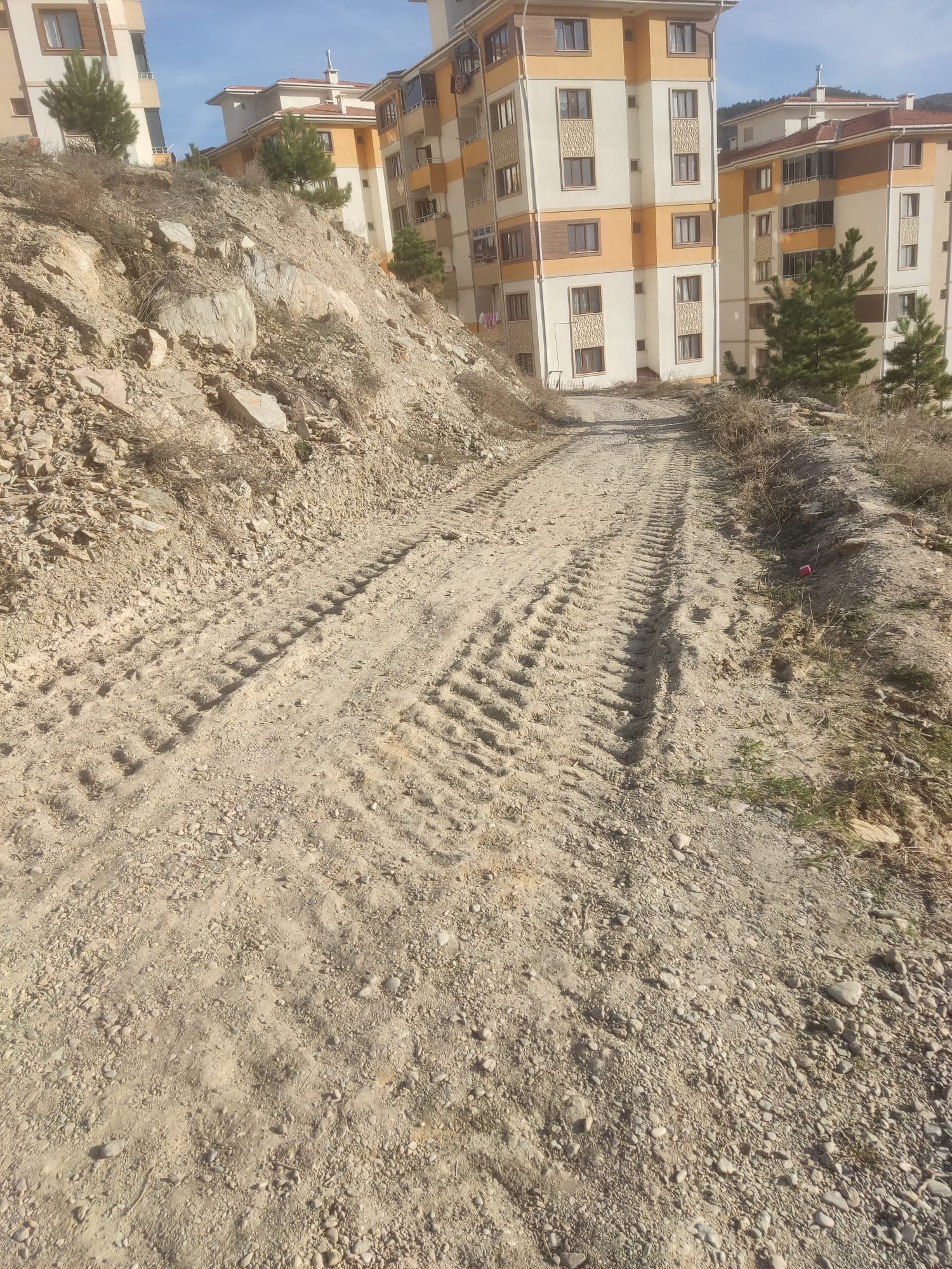 Toki̇ Muhtarı Cihan Yıldız (20)