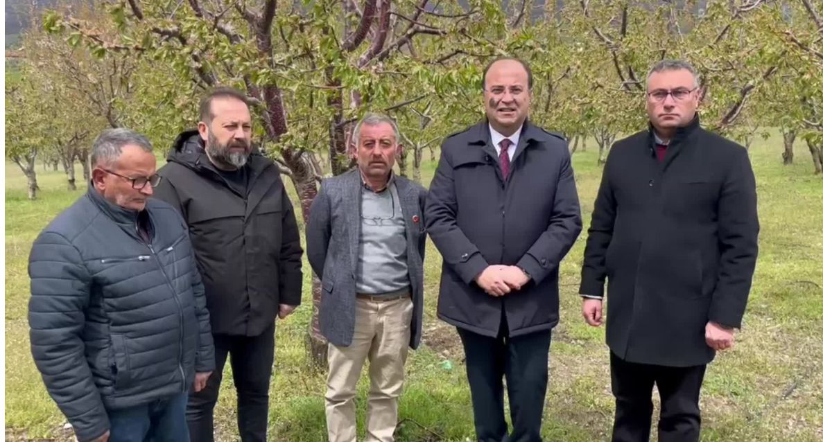 Whatsapp Image 2026 01 27 At 09.01.43