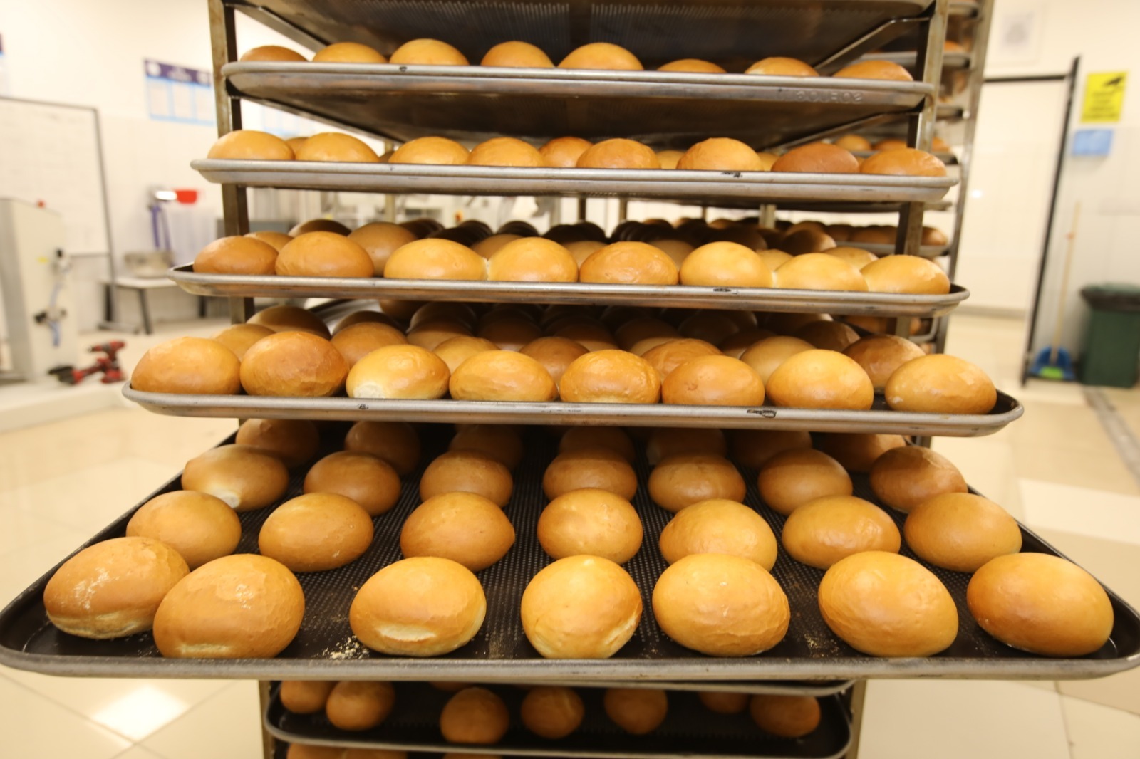 Whatsapp Image 2026 01 27 At 11.04.43