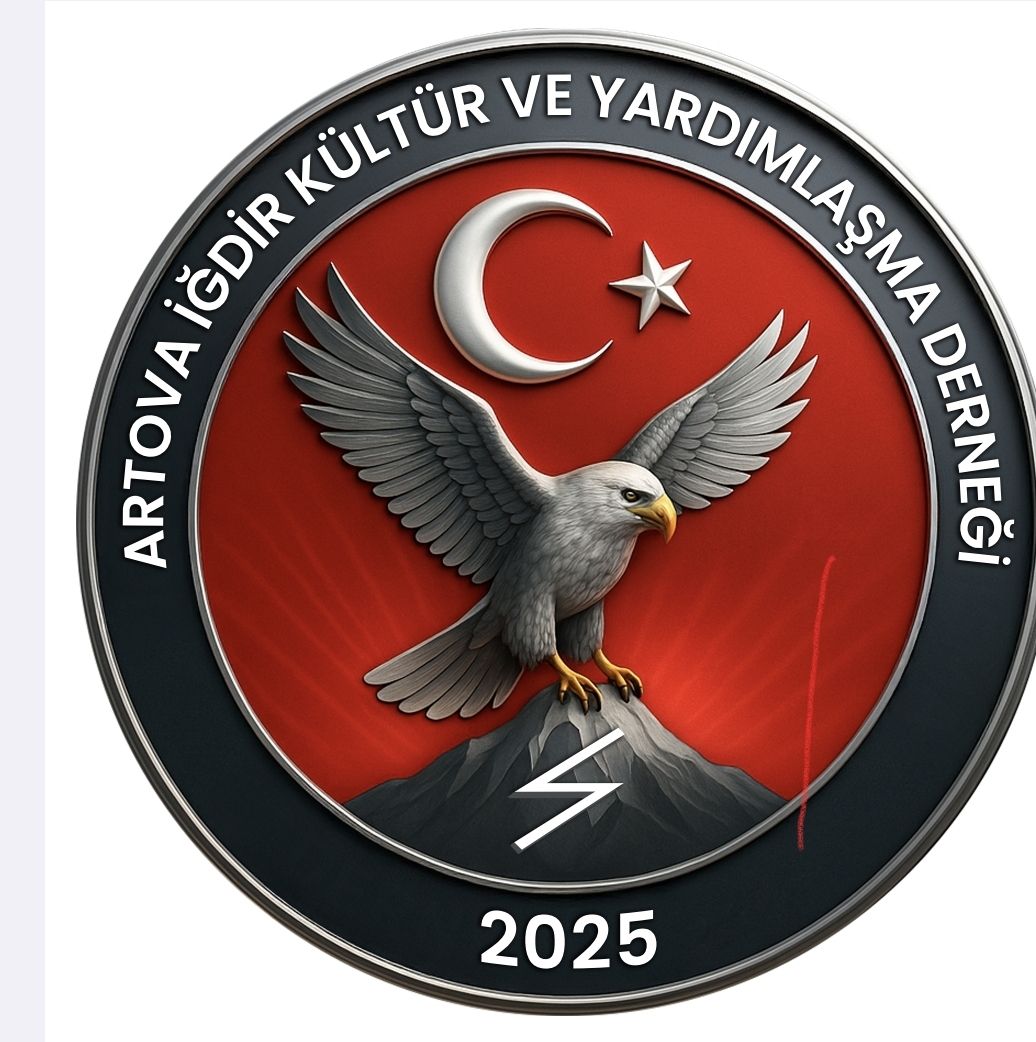 604506144 122097945237190350 1997447249213694905 N