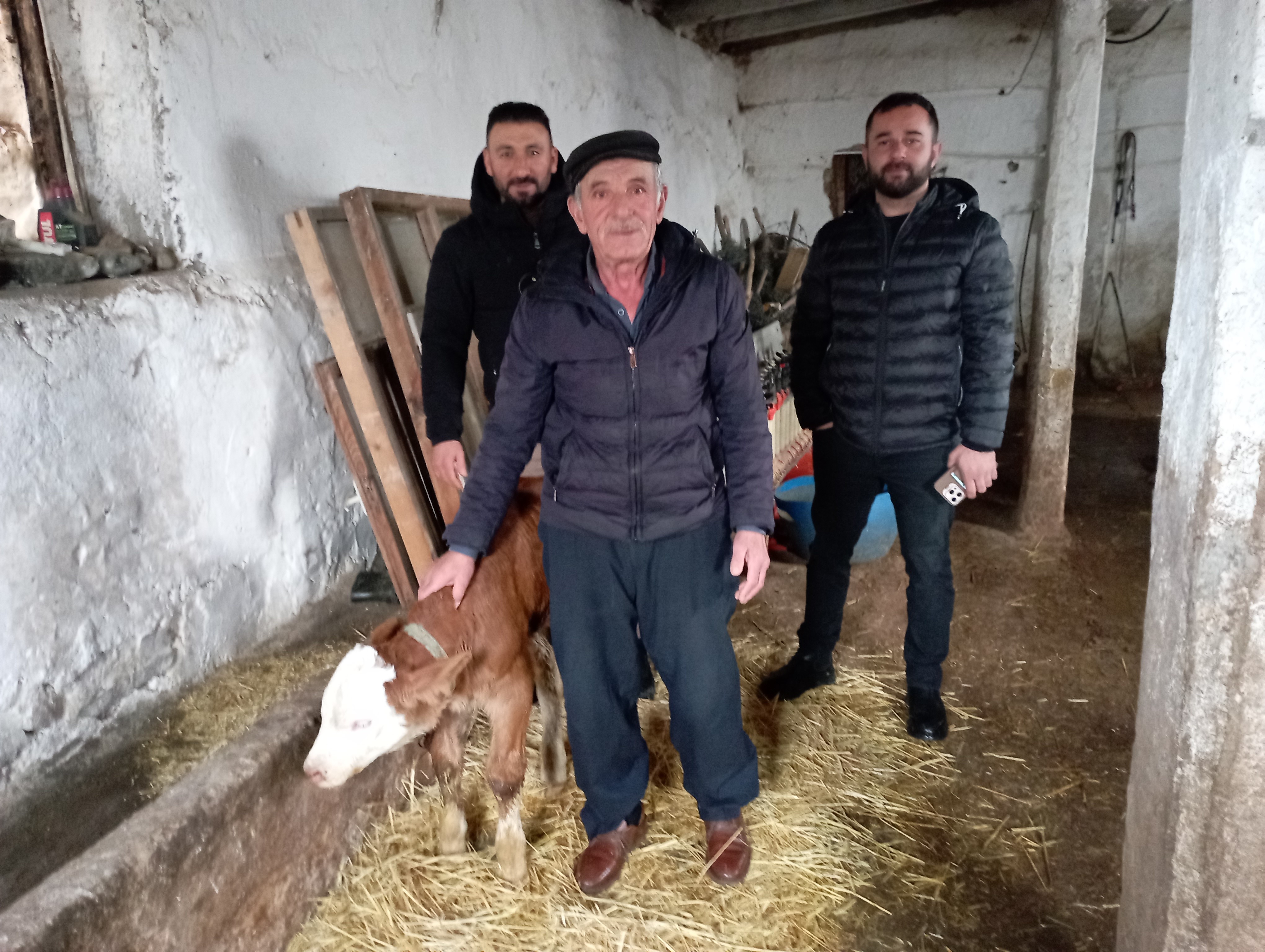 Hasta Buzağıya Balkonda Güneş Tedavisi (2)